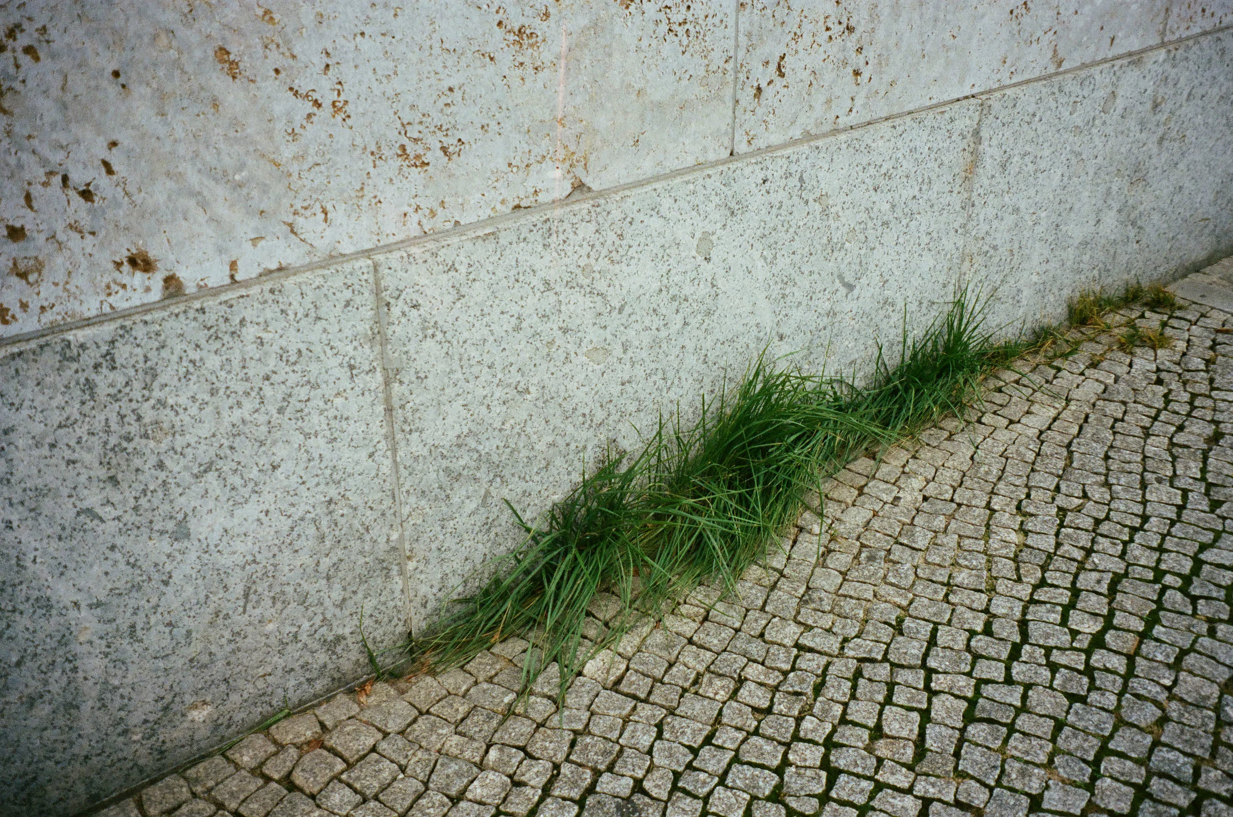analog-162.jpg