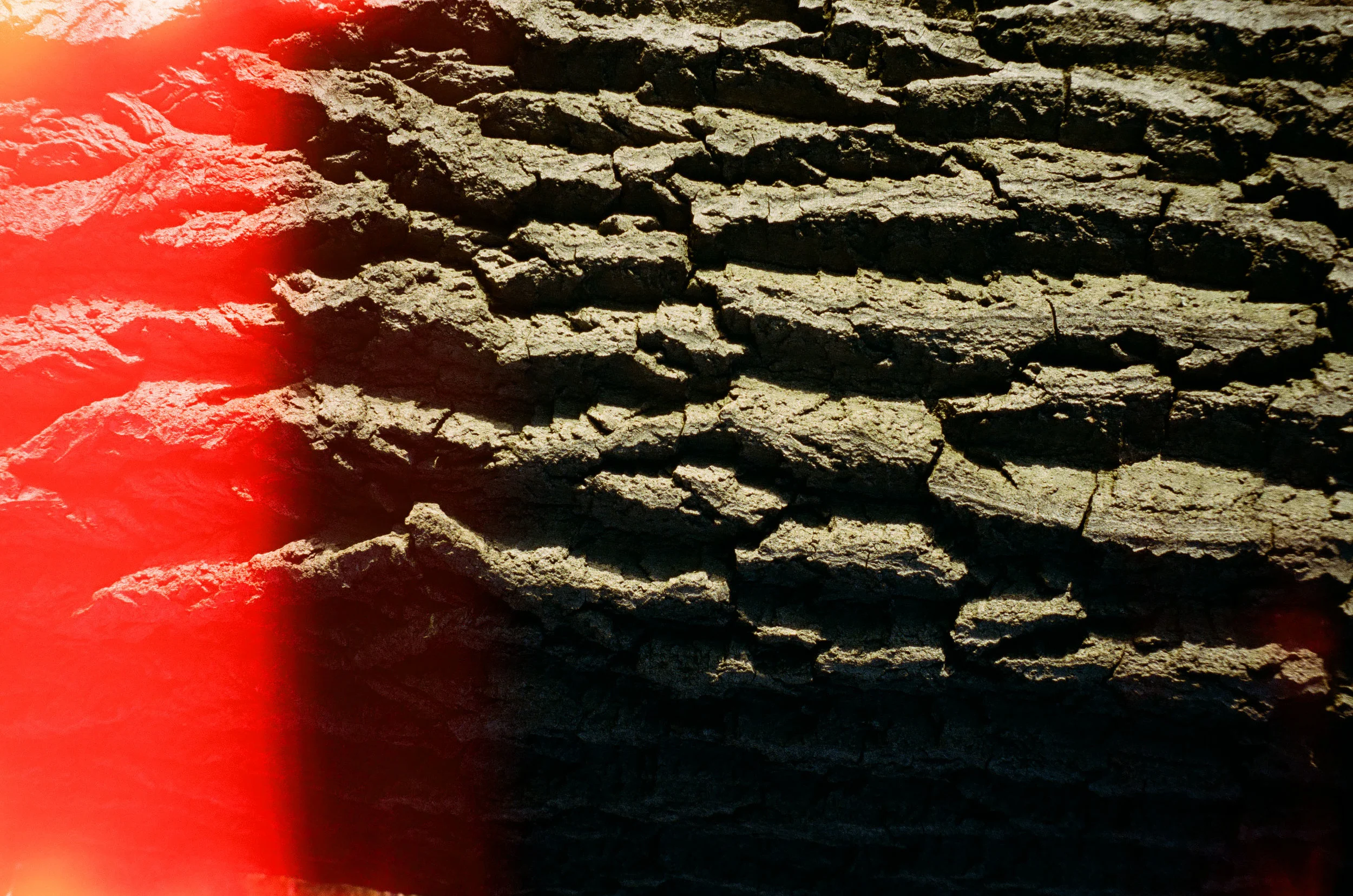 analog-172.jpg