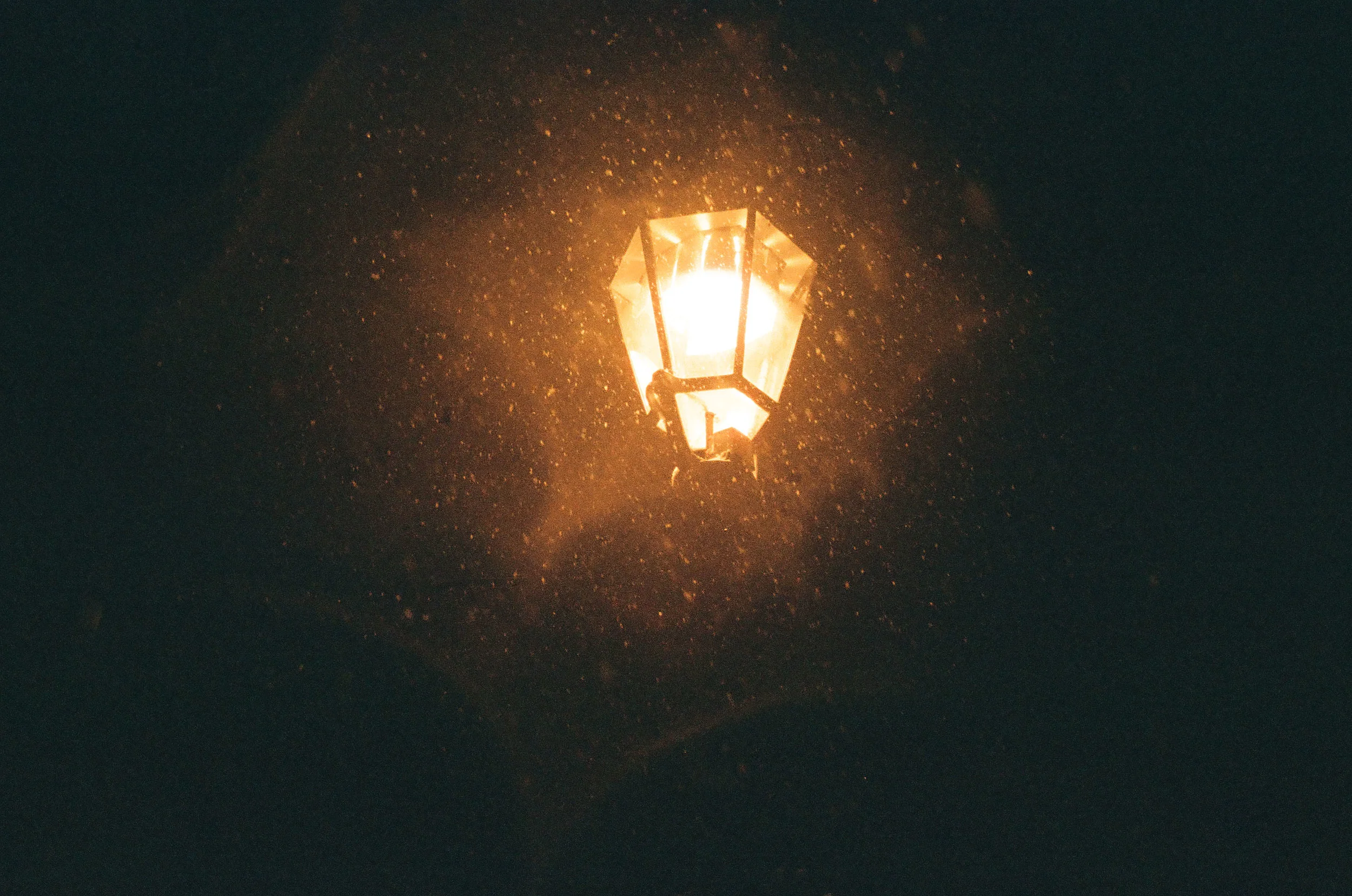 analog-201.jpg