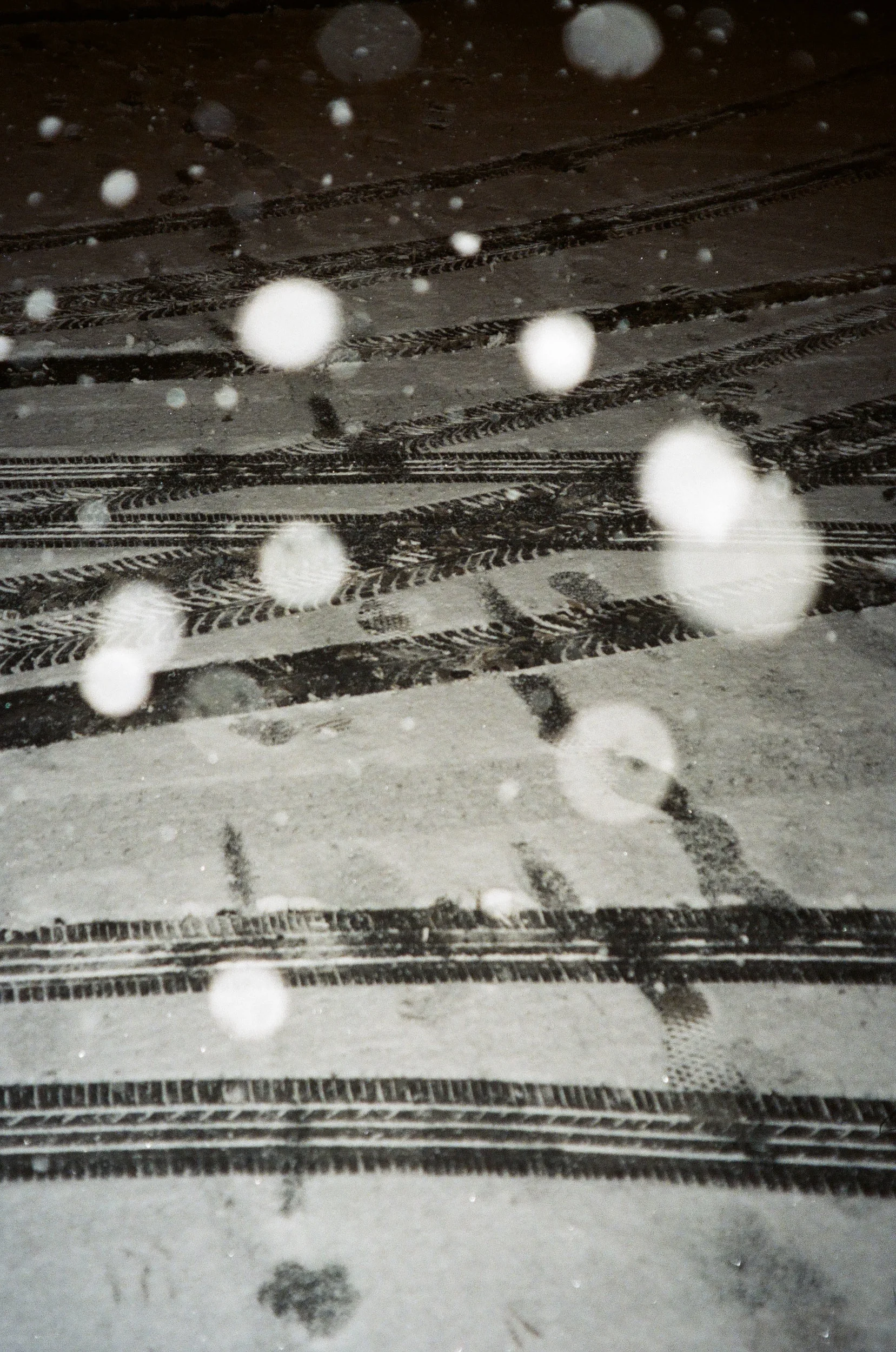analog-205.jpg