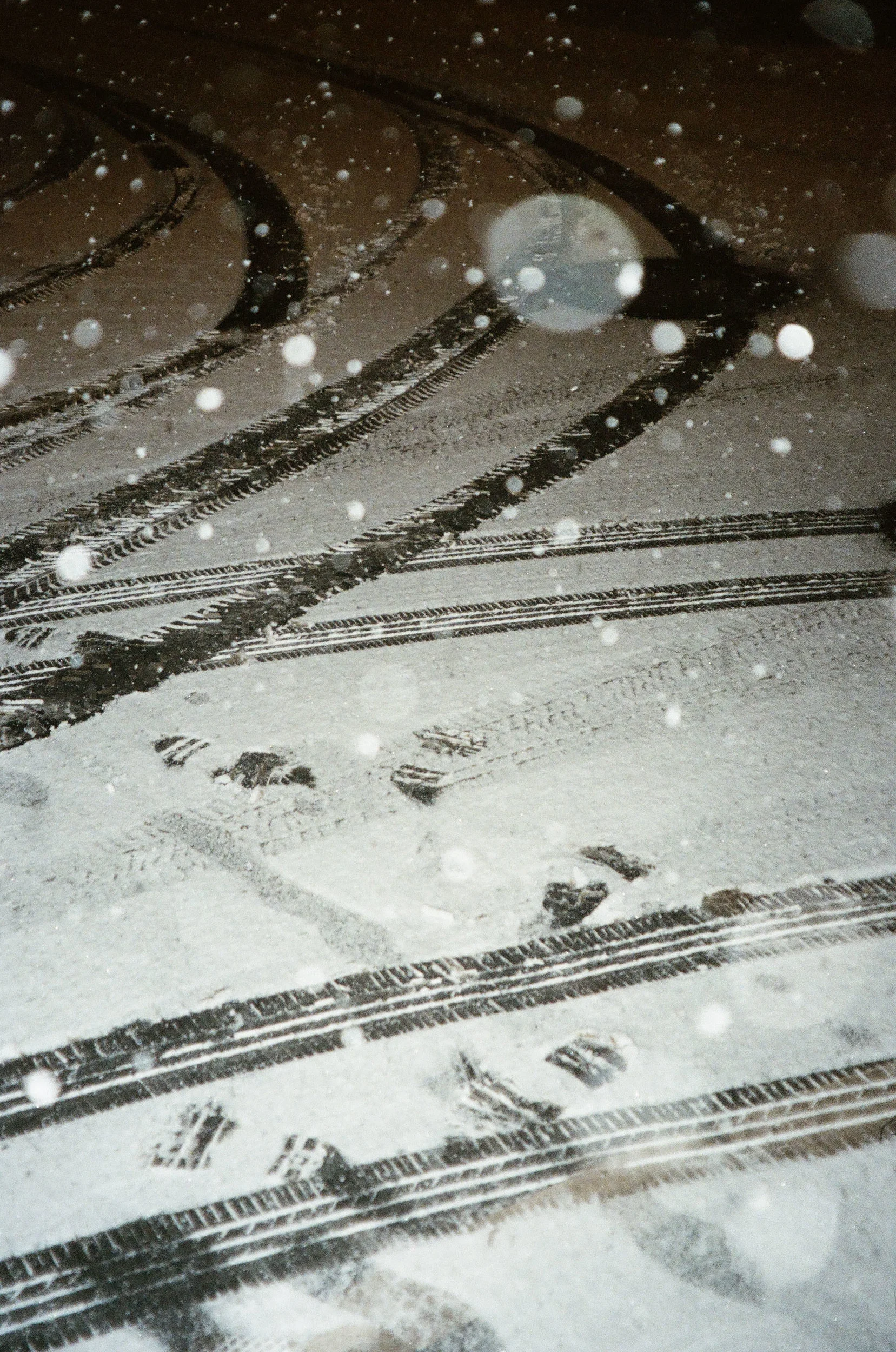 analog-204.jpg