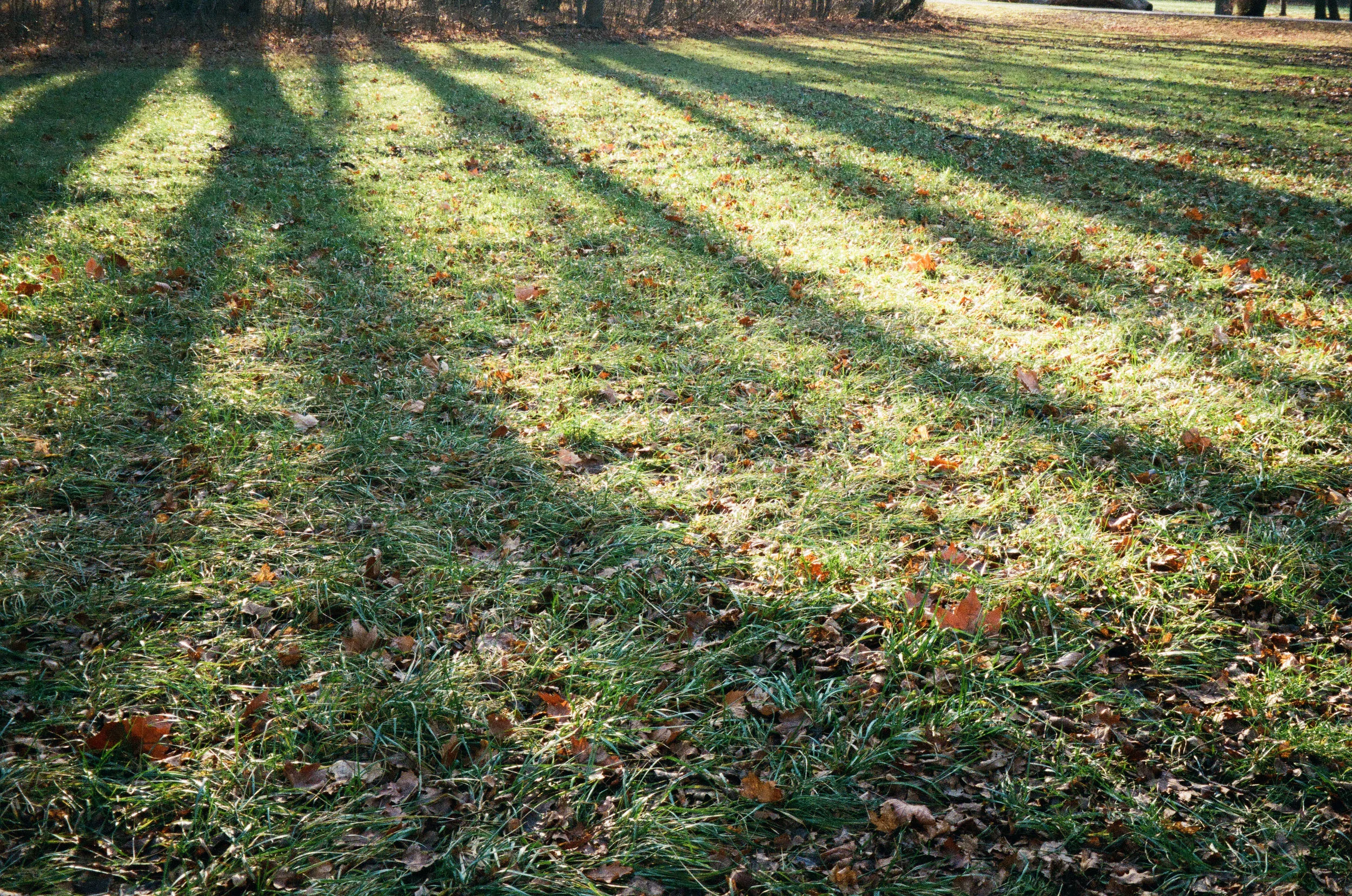 analog-270.jpg