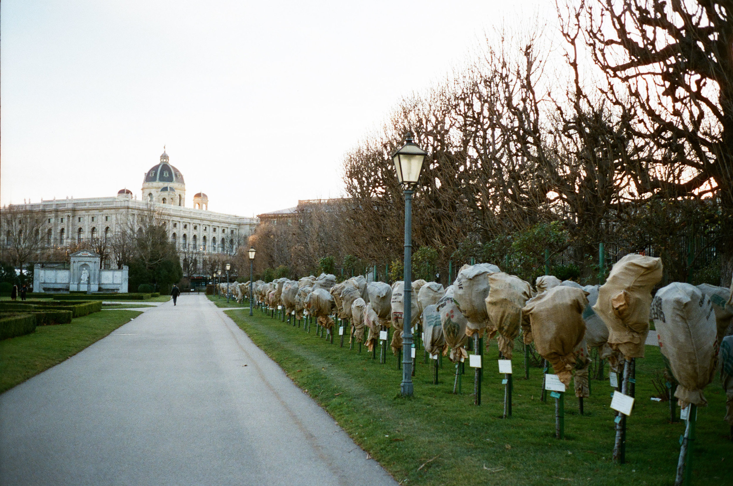 analog-284.jpg
