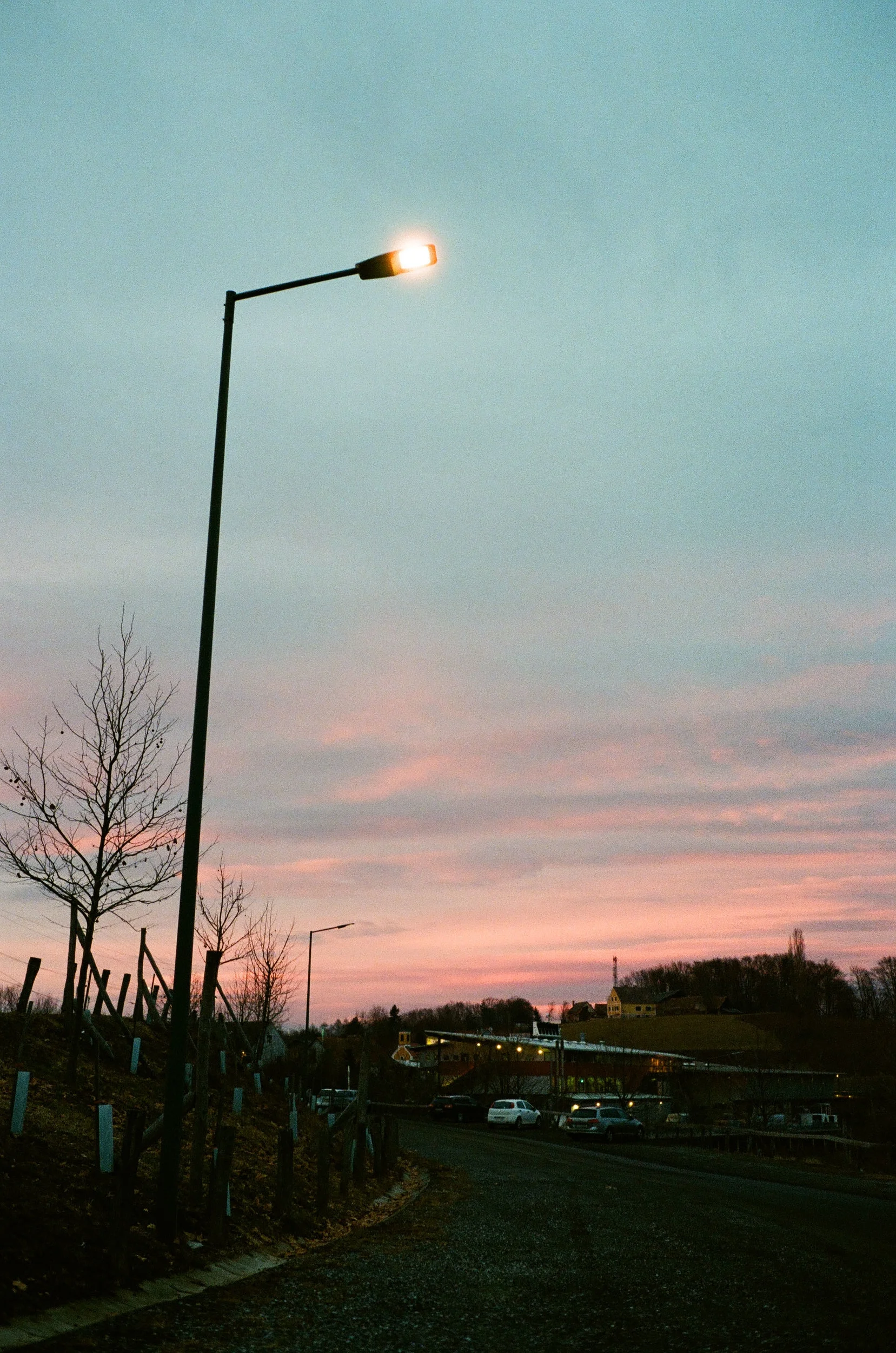 analog-310.jpg