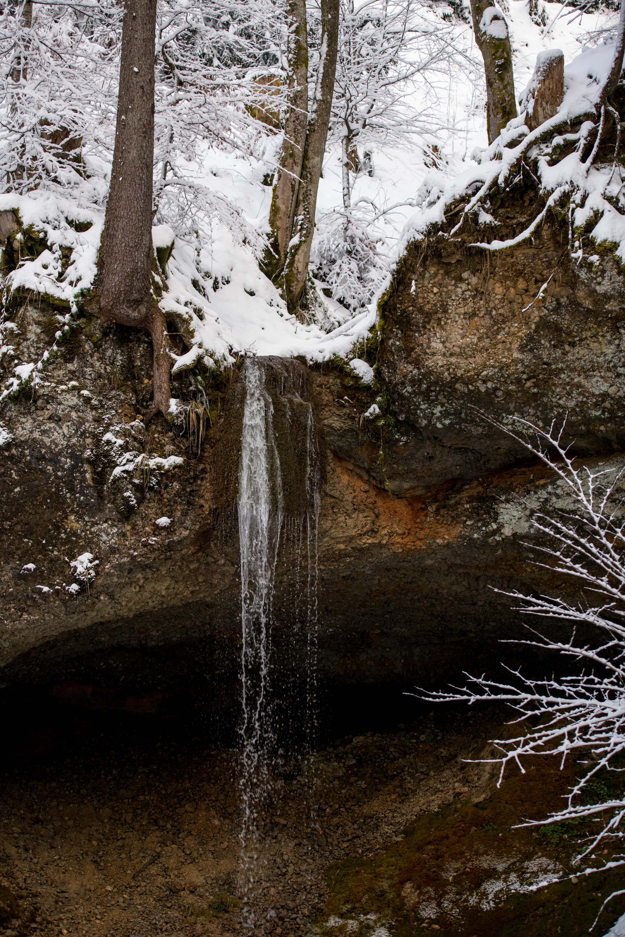 winter_bodensee-4.jpg