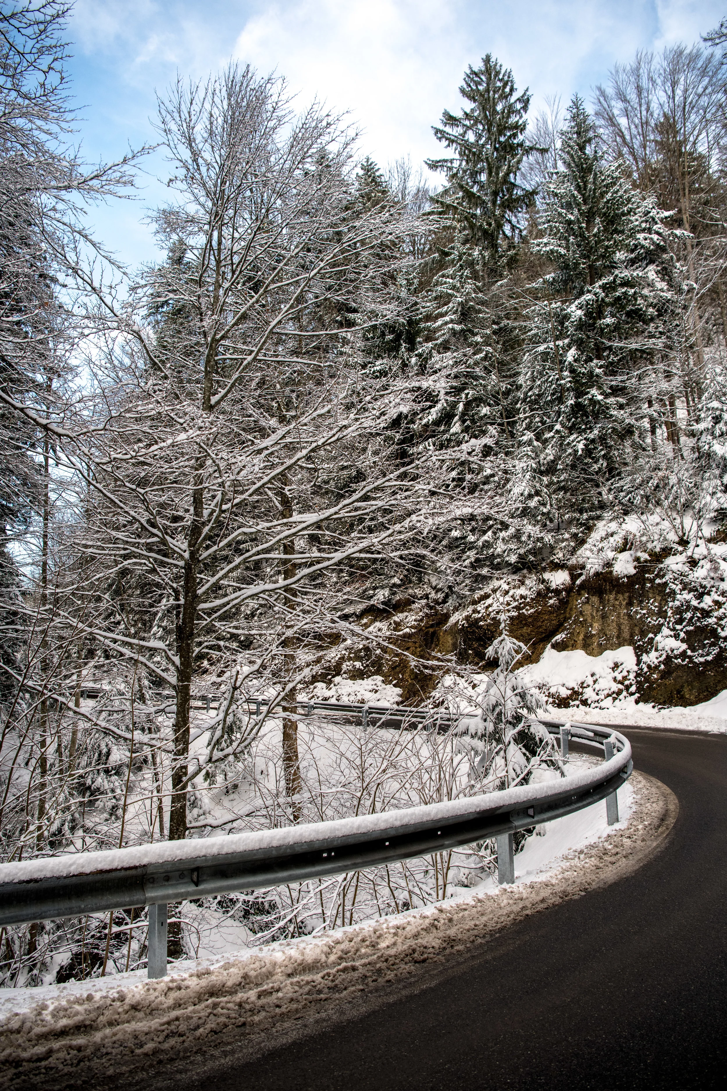 winter_bodensee-8.jpg