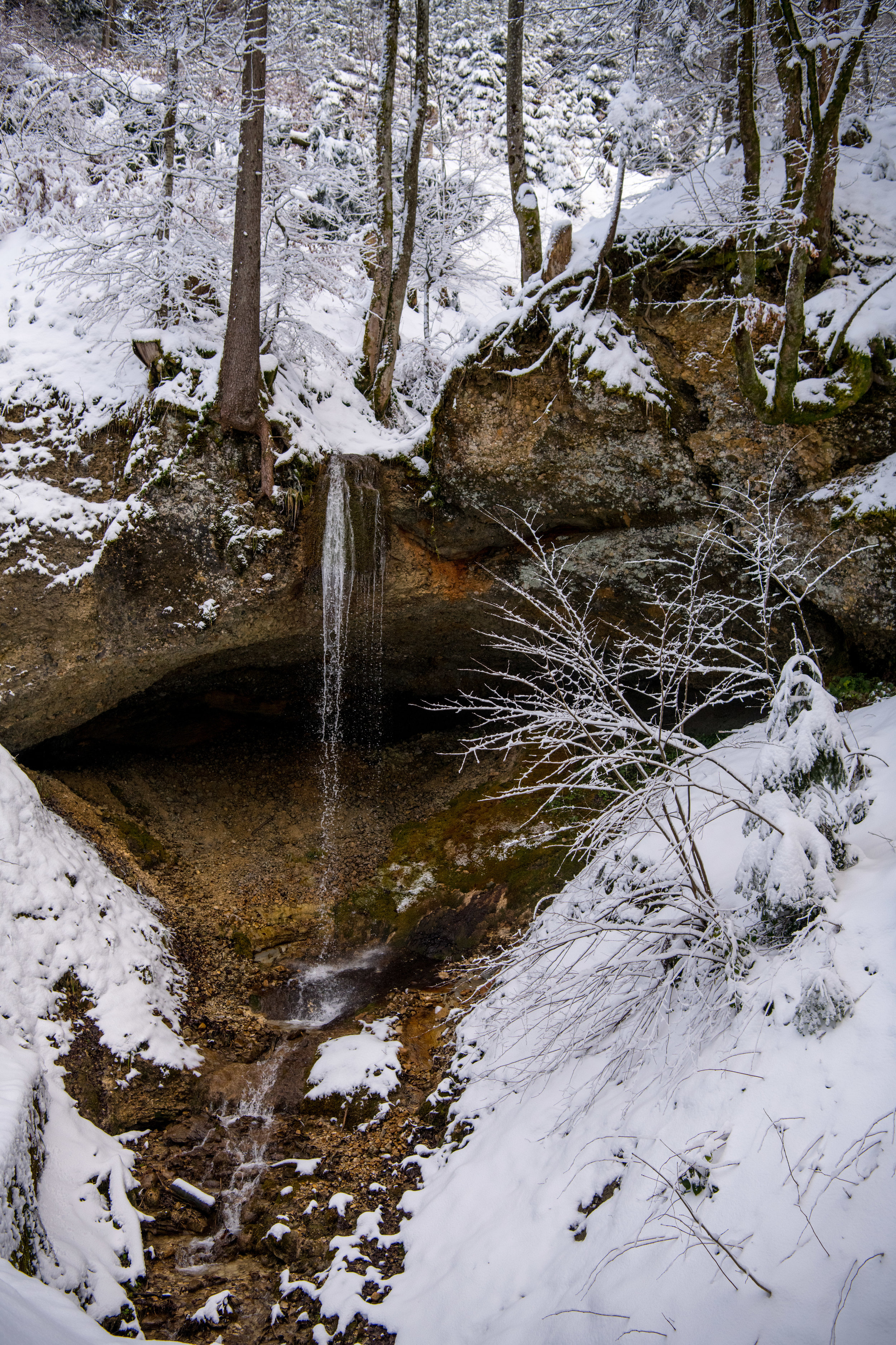 winter_bodensee-9.jpg