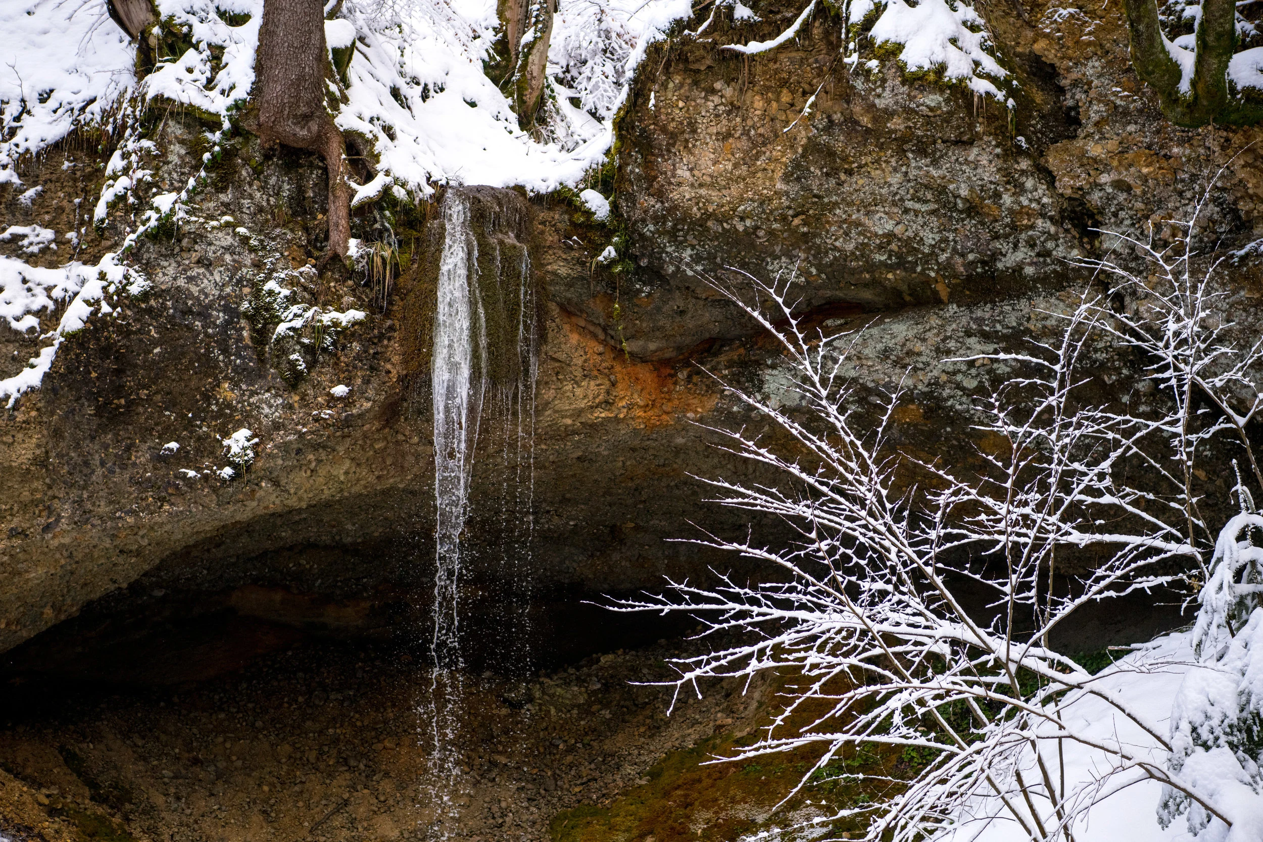 winter_bodensee-10.jpg