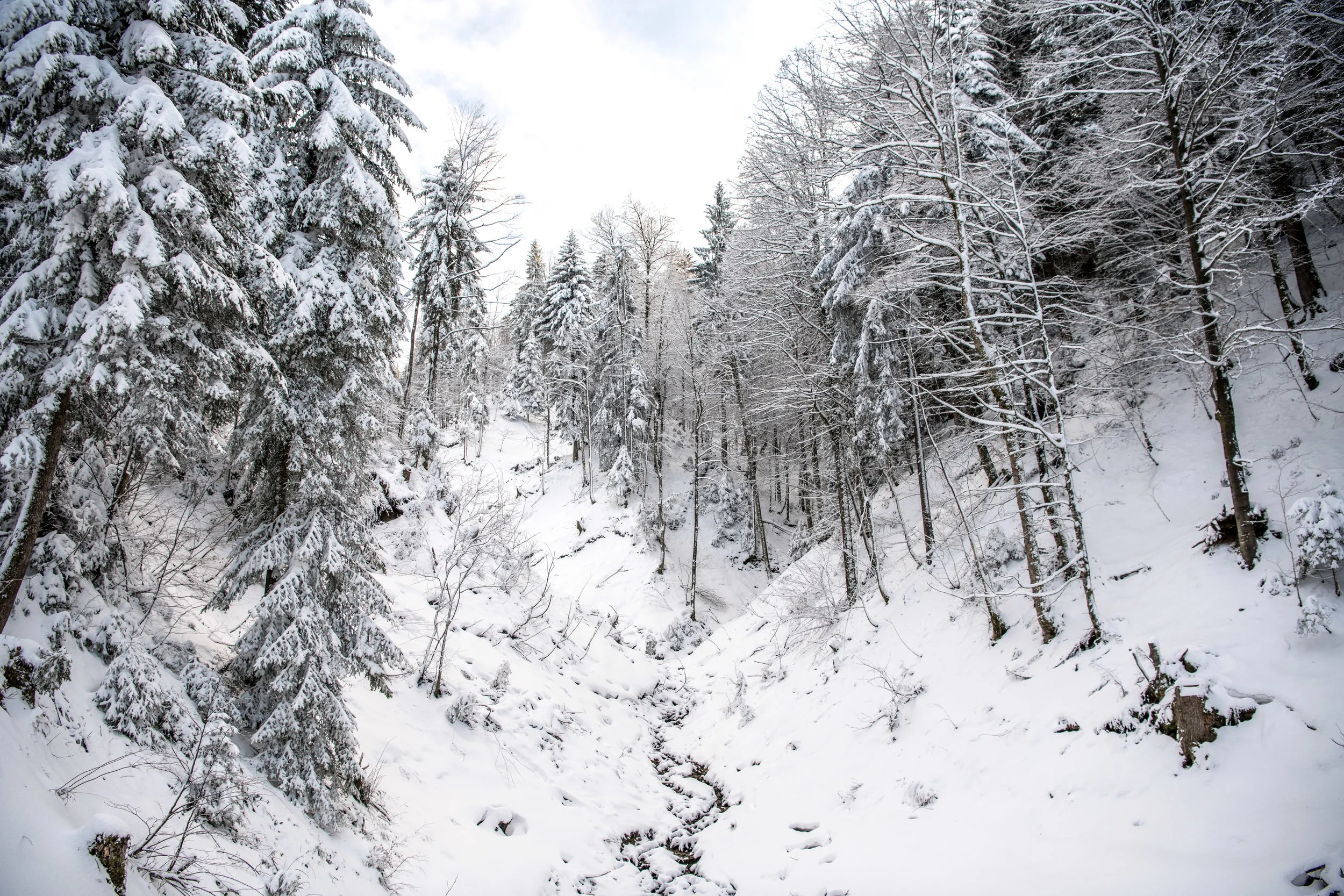 winter_bodensee-13.jpg