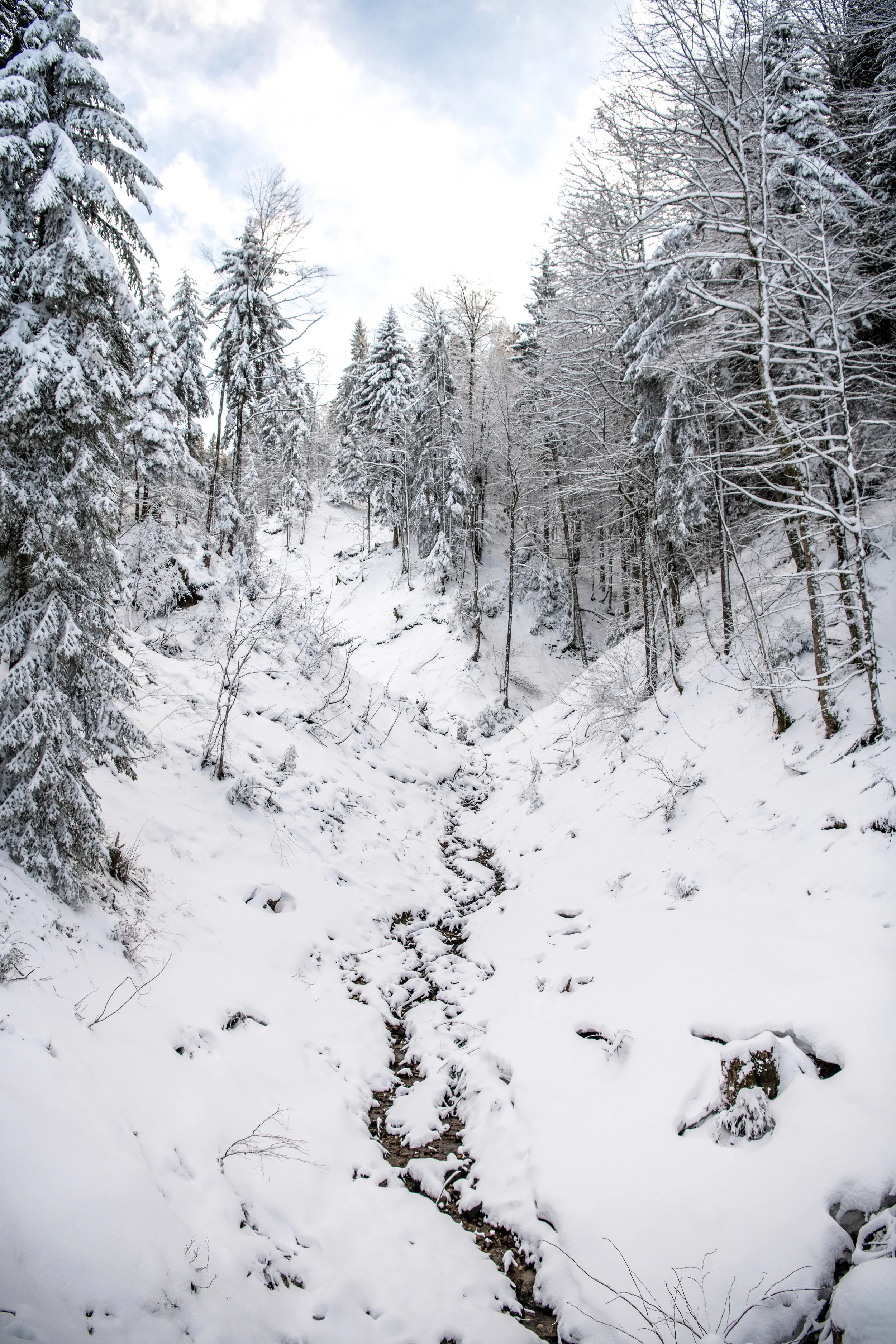 winter_bodensee-14.jpg
