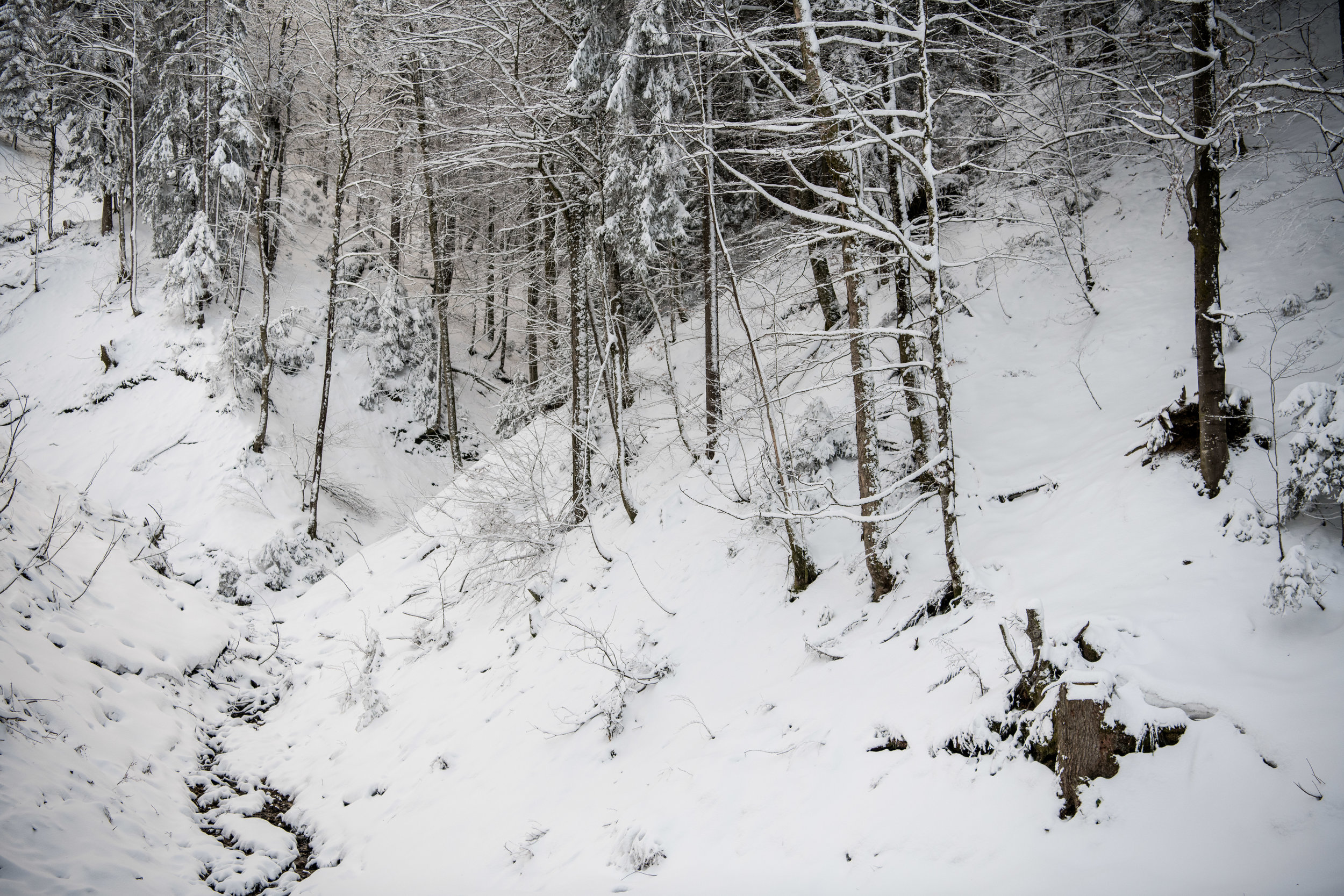 winter_bodensee-16.jpg