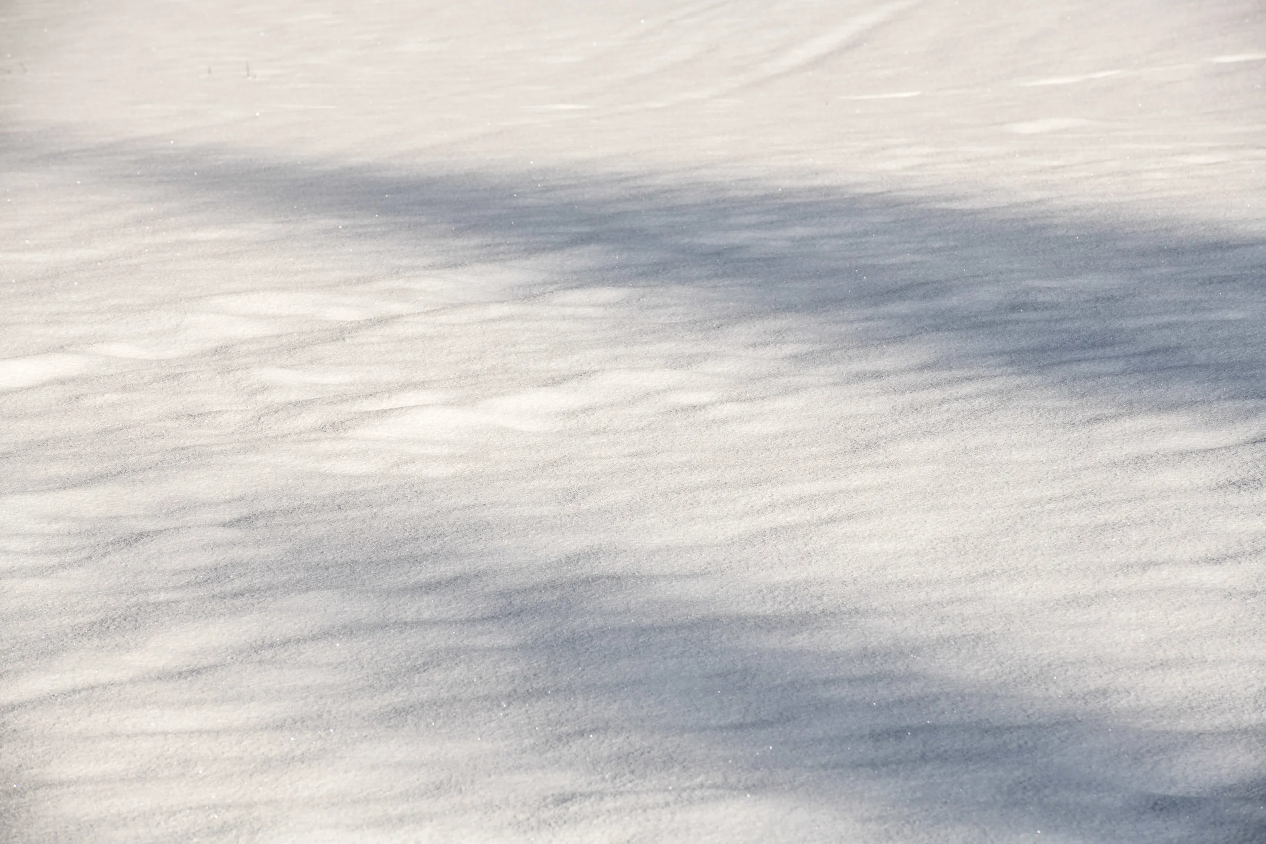 winter_bodensee-22.jpg