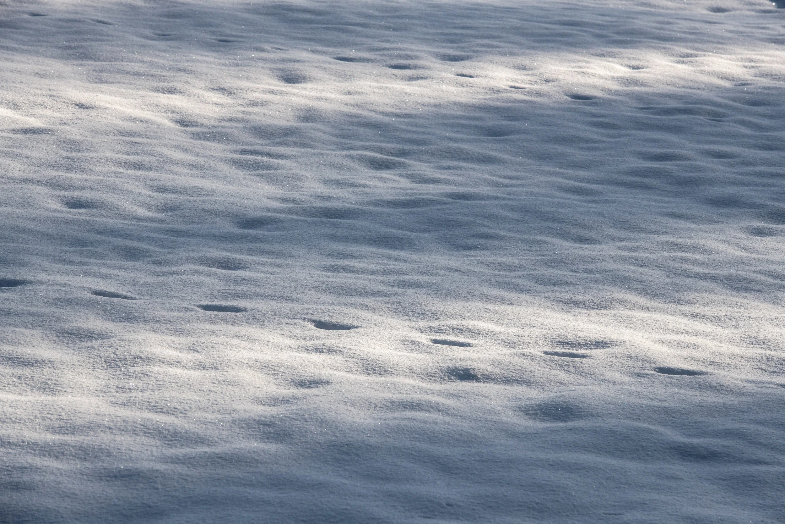 winter_bodensee-23.jpg