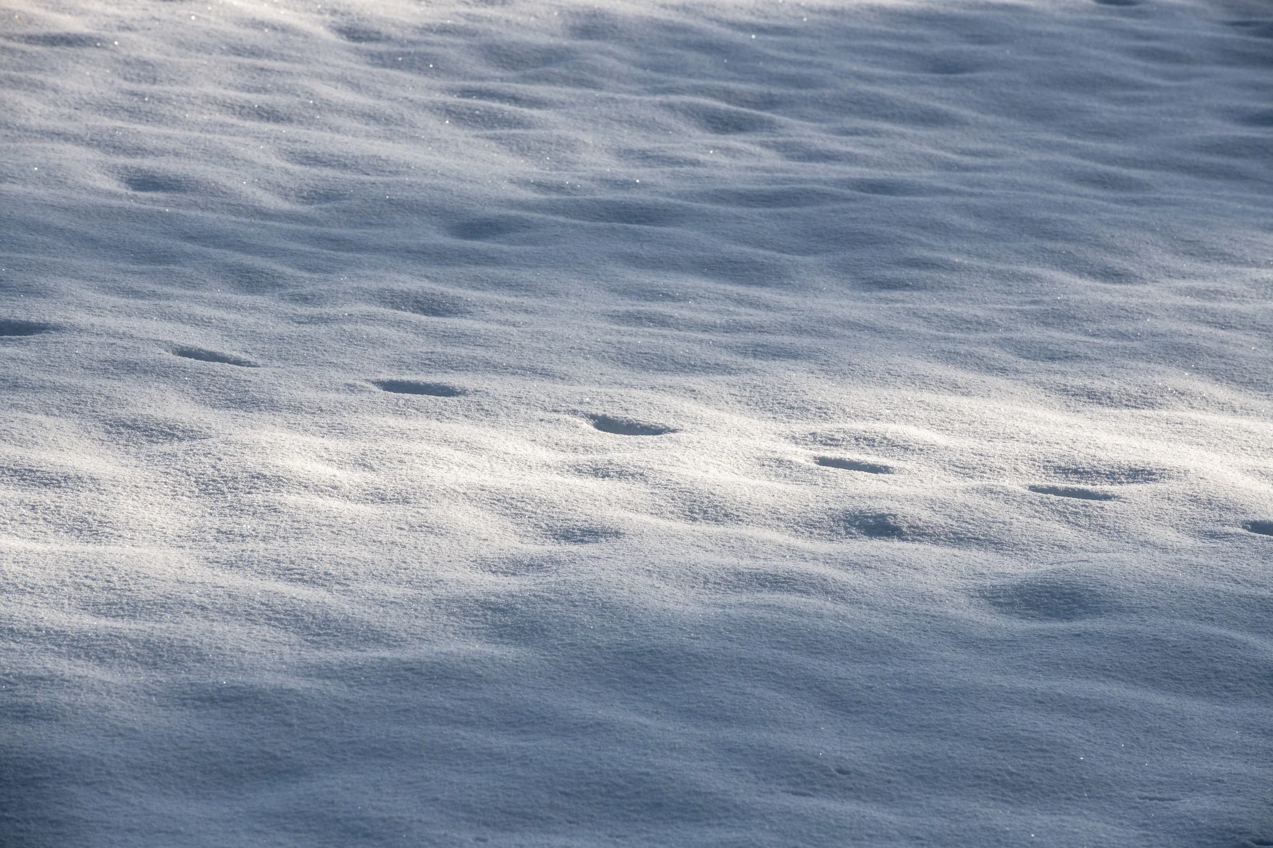 winter_bodensee-24.jpg