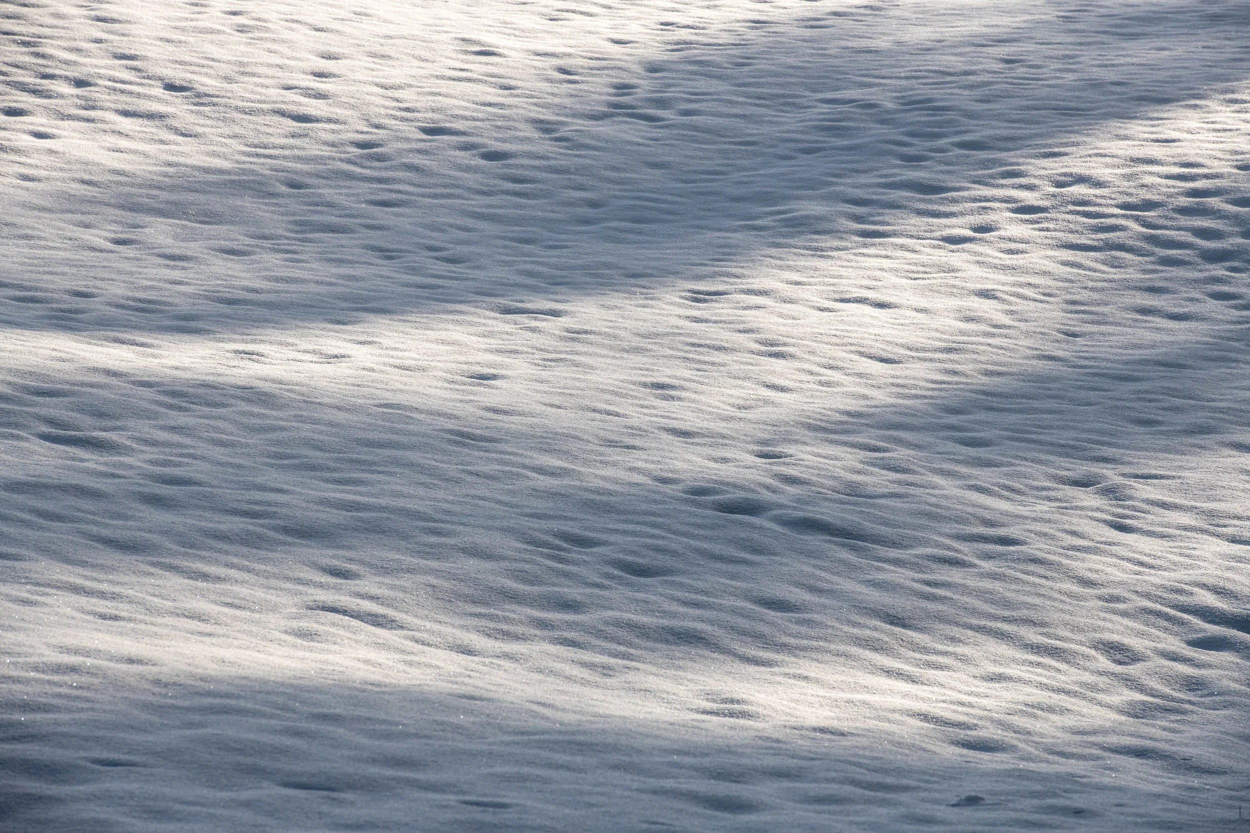winter_bodensee-25.jpg