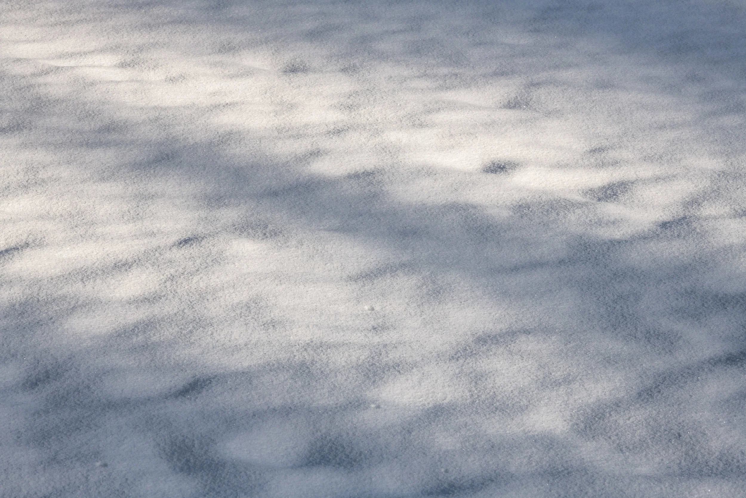 winter_bodensee-26.jpg