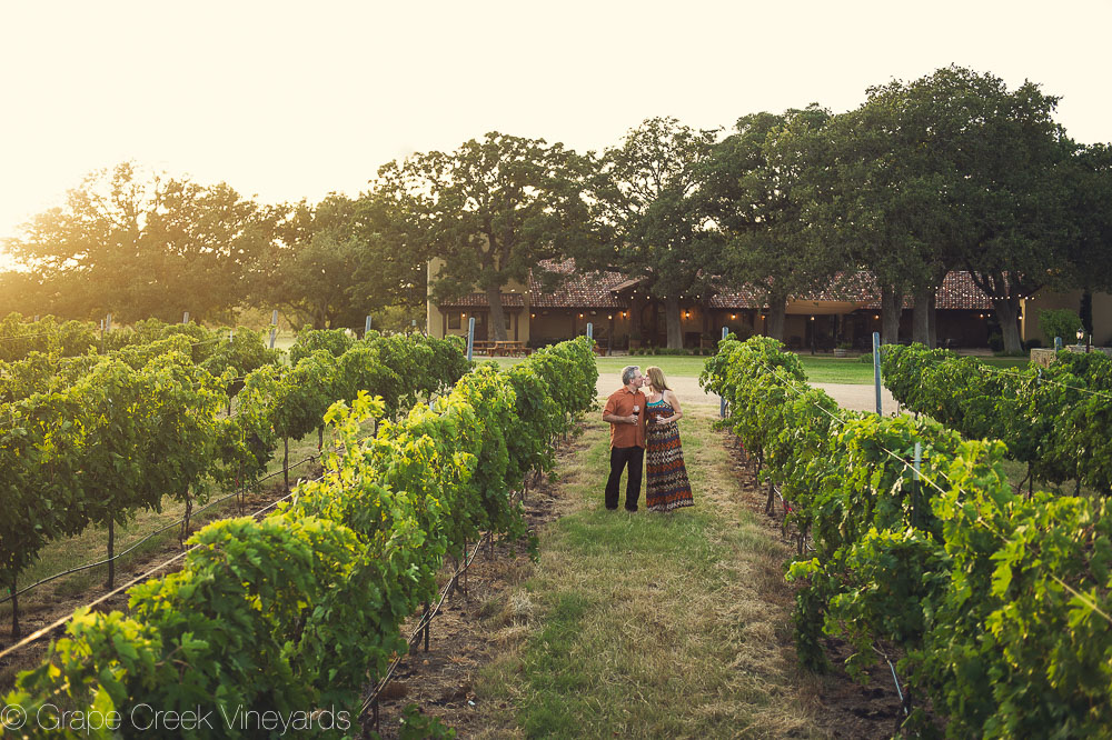 Winery Tours