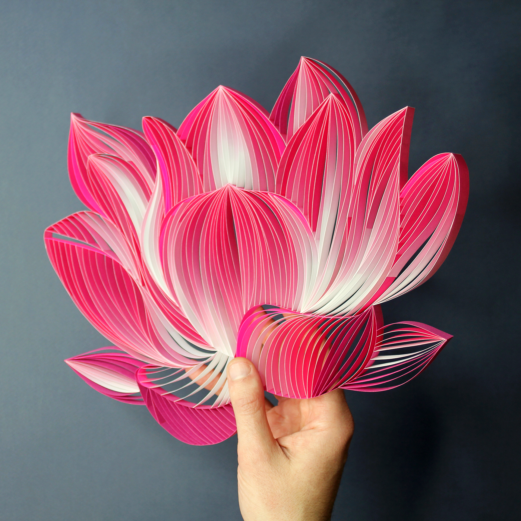 LOTUS