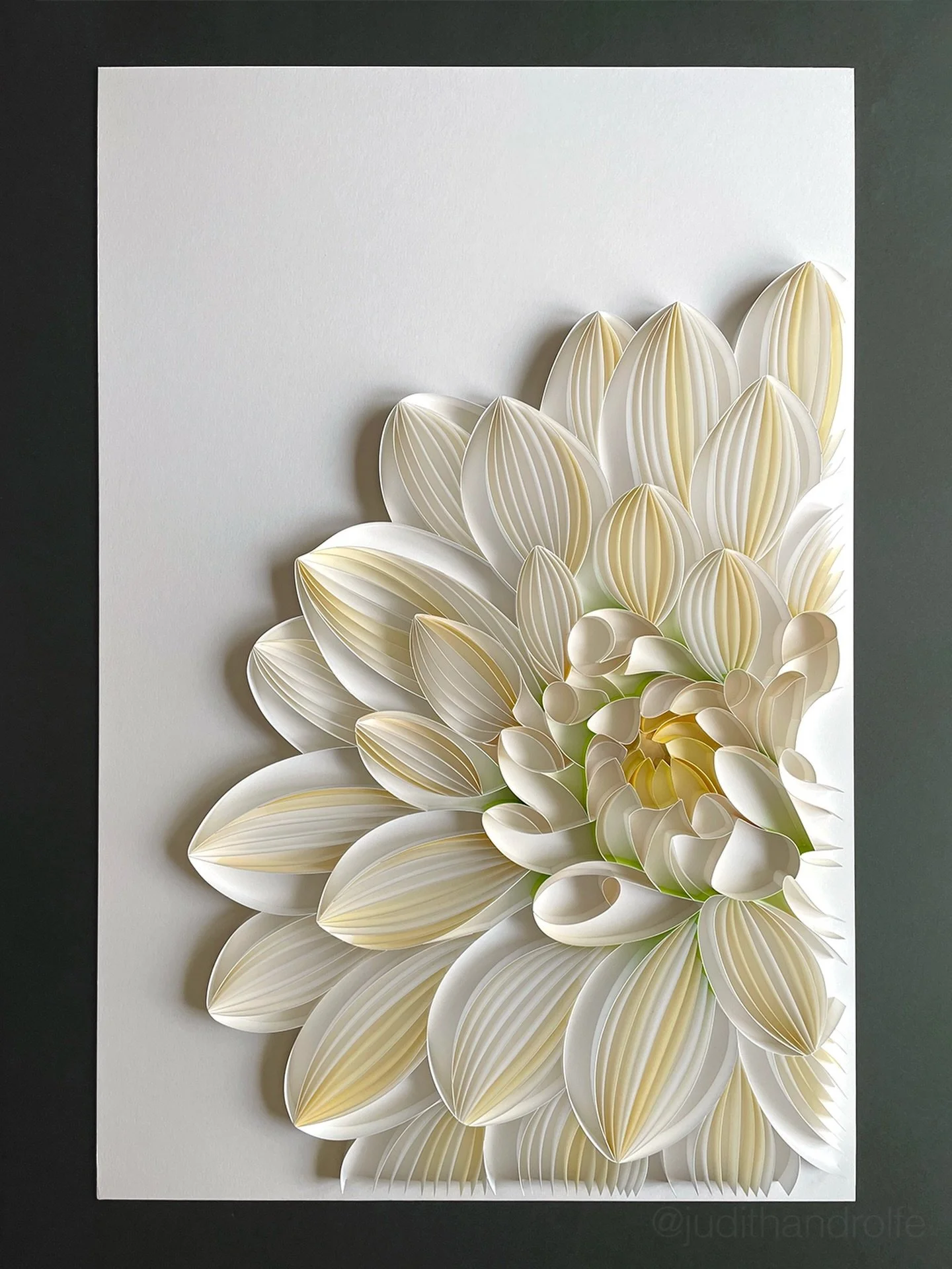 DAHLIA (1/2 diptych)
On-edge paper on mat board
20 x 30 inches | 508 x 762 mm

#JUDiTHandROLFE #paperart #commissionwork #dahlia
