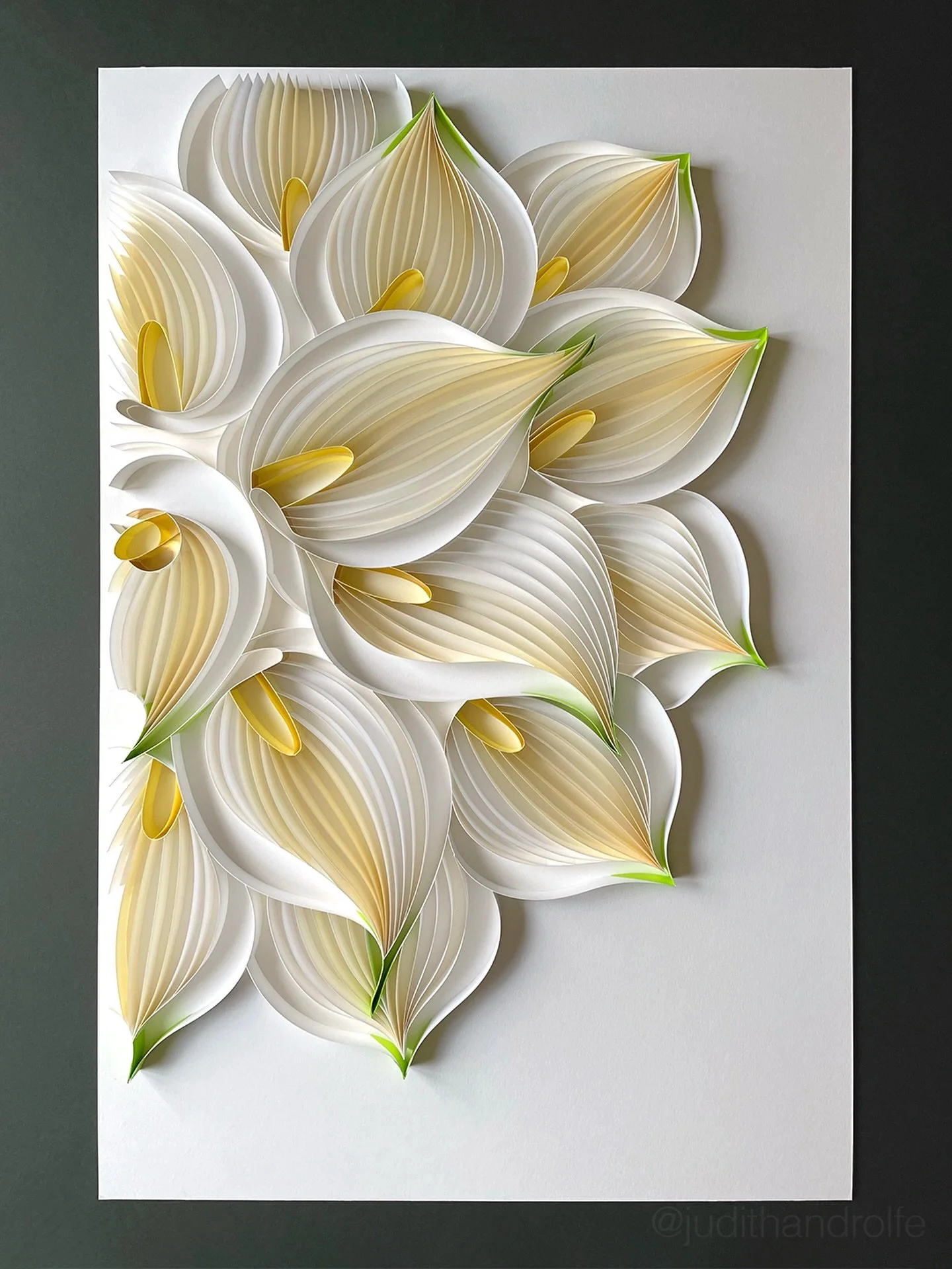 Happy Spring Equinox! 🌸

CALLA LILIES (2/2 diptych)
On-edge paper on mat board
20 x 30 inches | 508 x 762 mm

#JUDiTHandROLFE #paperart #commissionwork #callalilies