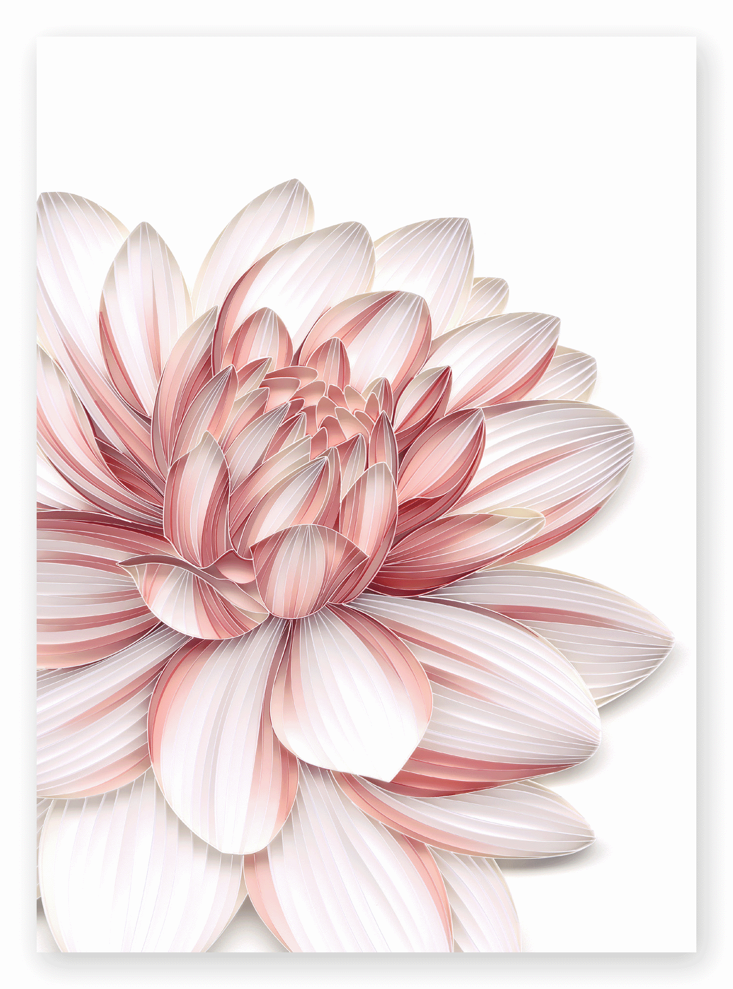 BLOOM collection blank everyday greeting cards