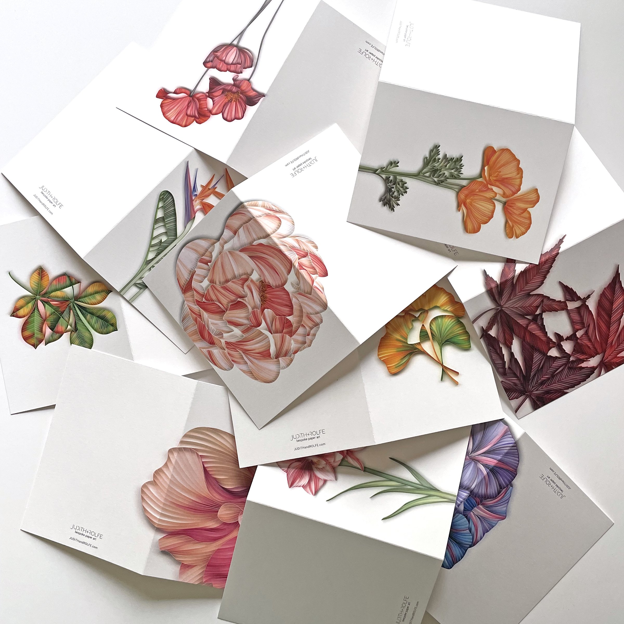 Front of assorted blank everyday greeting cards