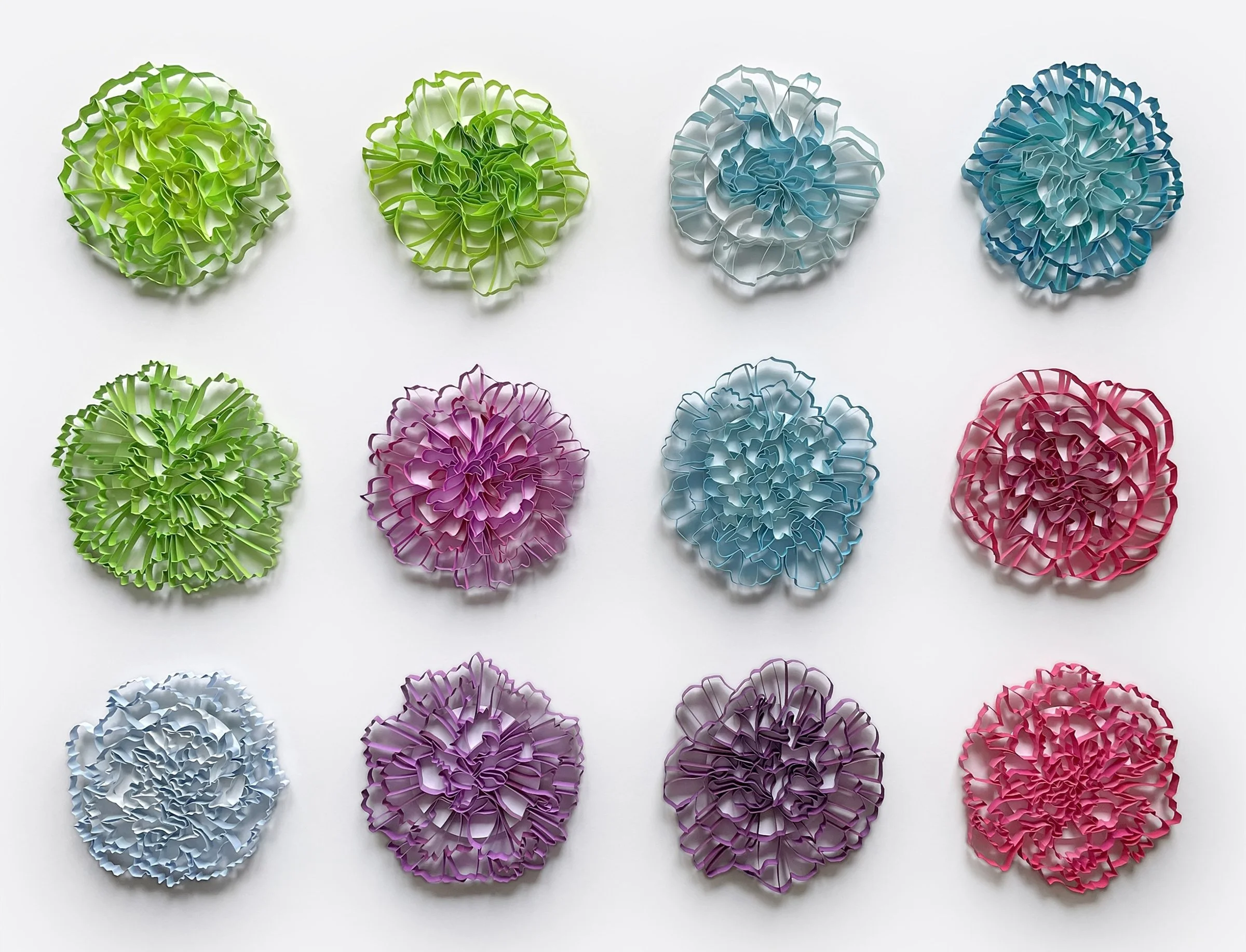   PETRI DISH: CARNATIONS  
 
On-edge paper on mat board
 
34” x 26” |  864 x 660 mm