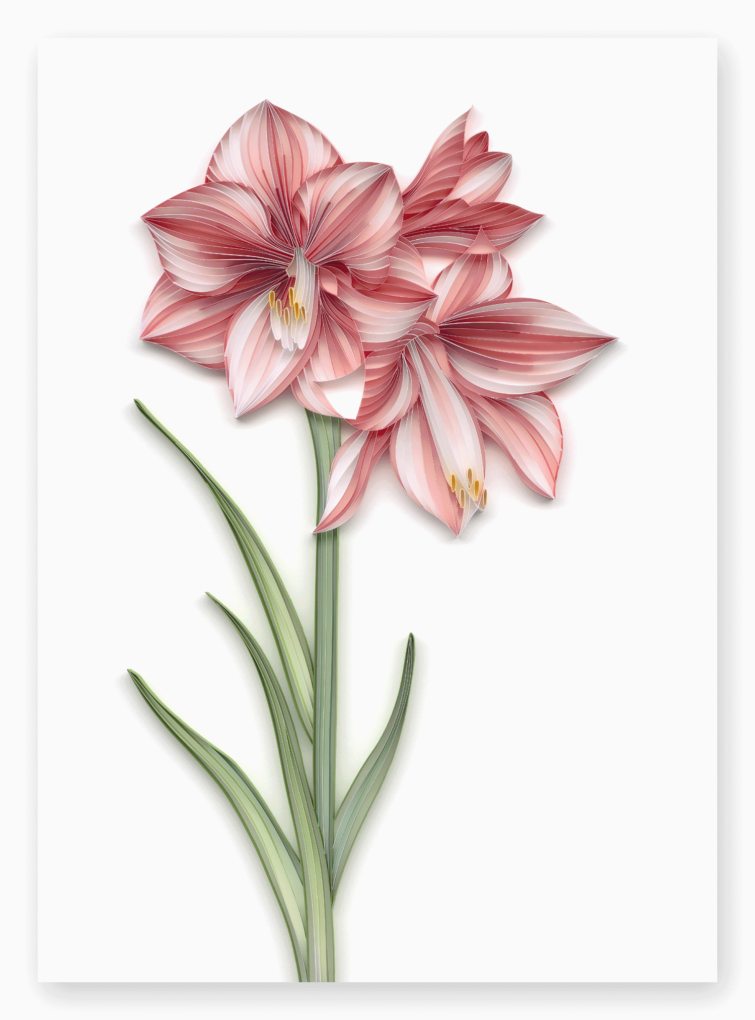 IKEBANA collection blank everyday greeting cards