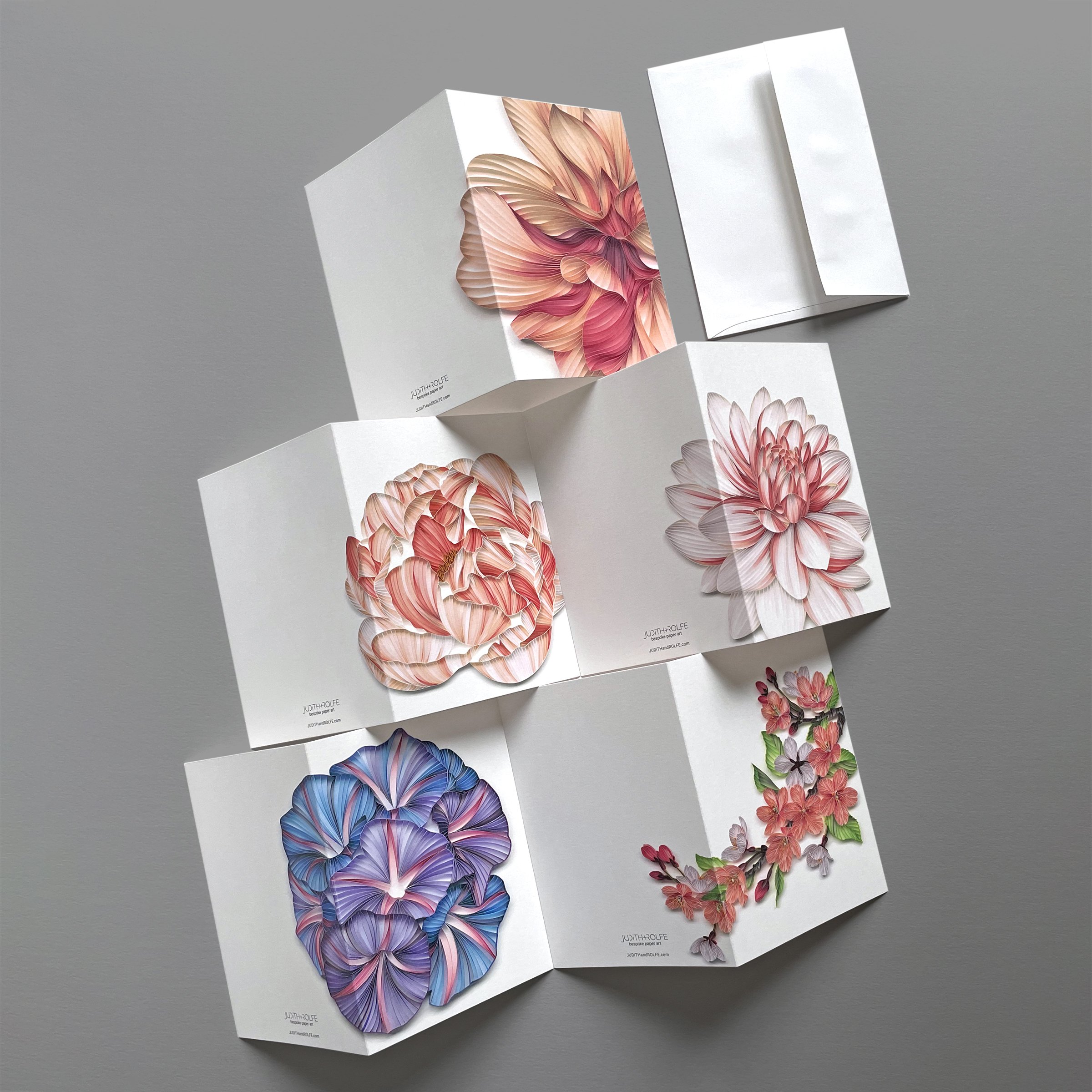 BLOOM COLLECTION