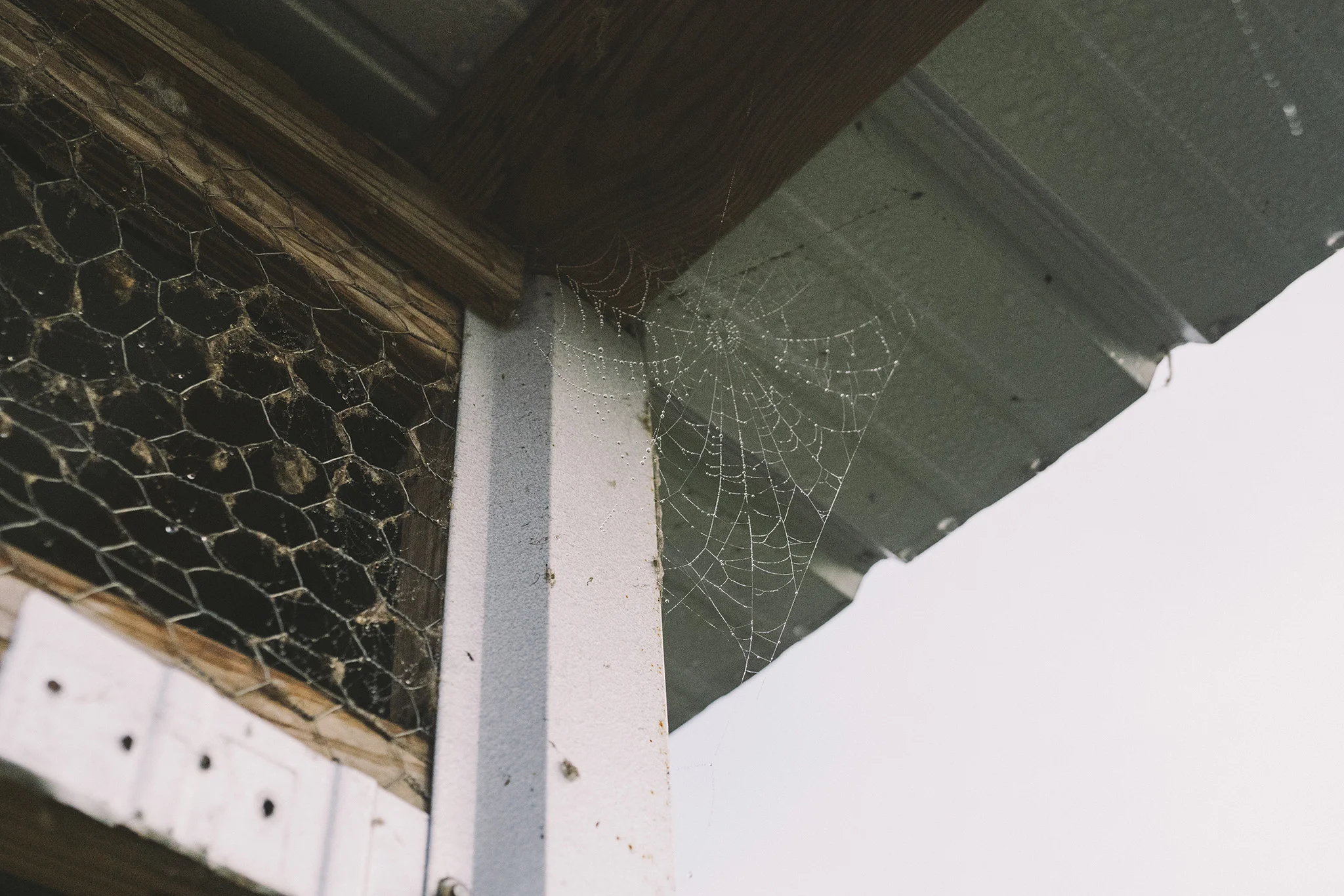 Brantman_171220_Edible_ BethesdaFarm_040.jpg