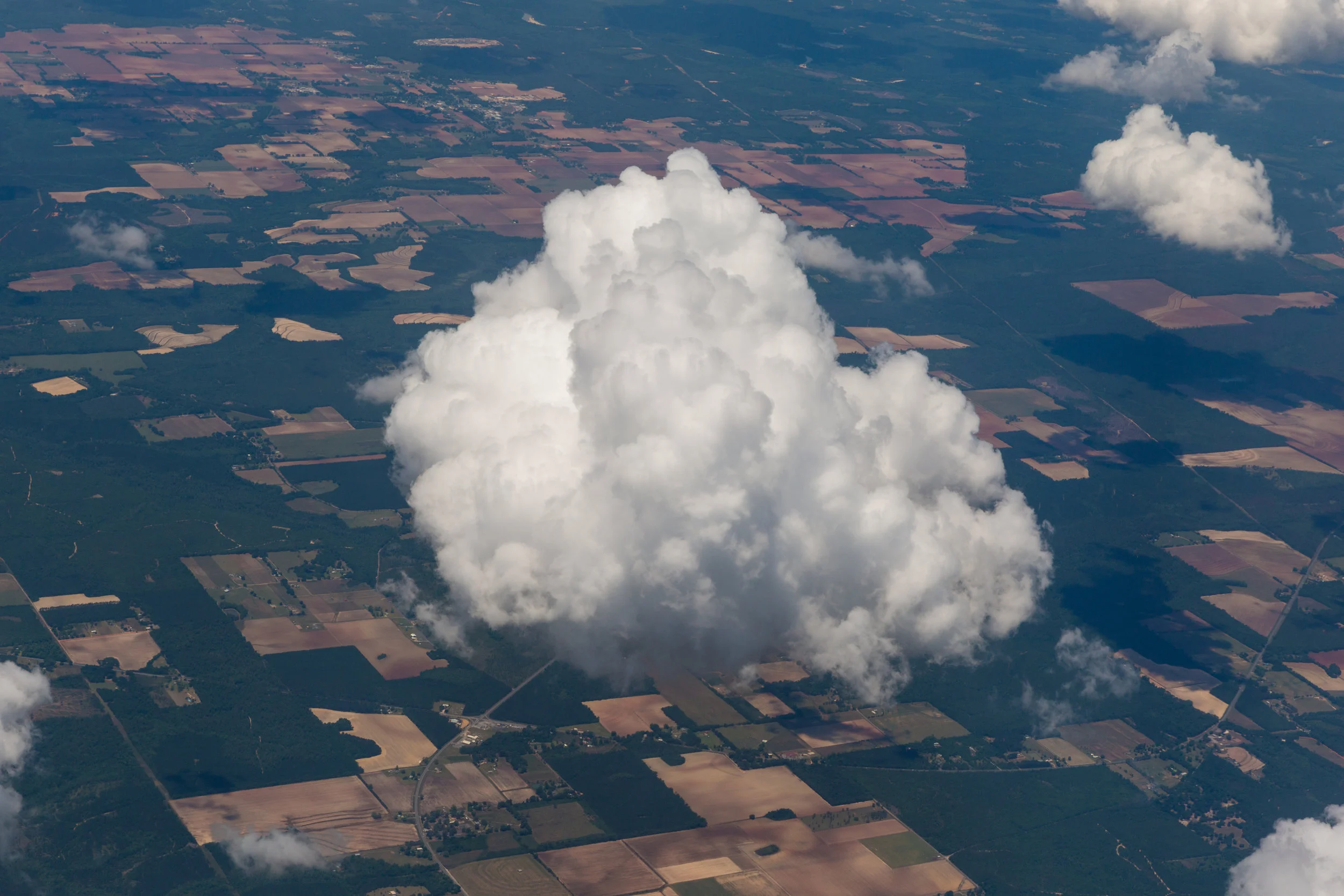 Brantman_180508_MacQueen_Birmingham_009.jpg