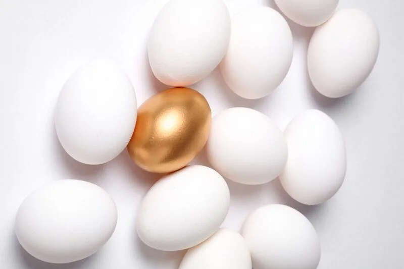 golden egg.jpg