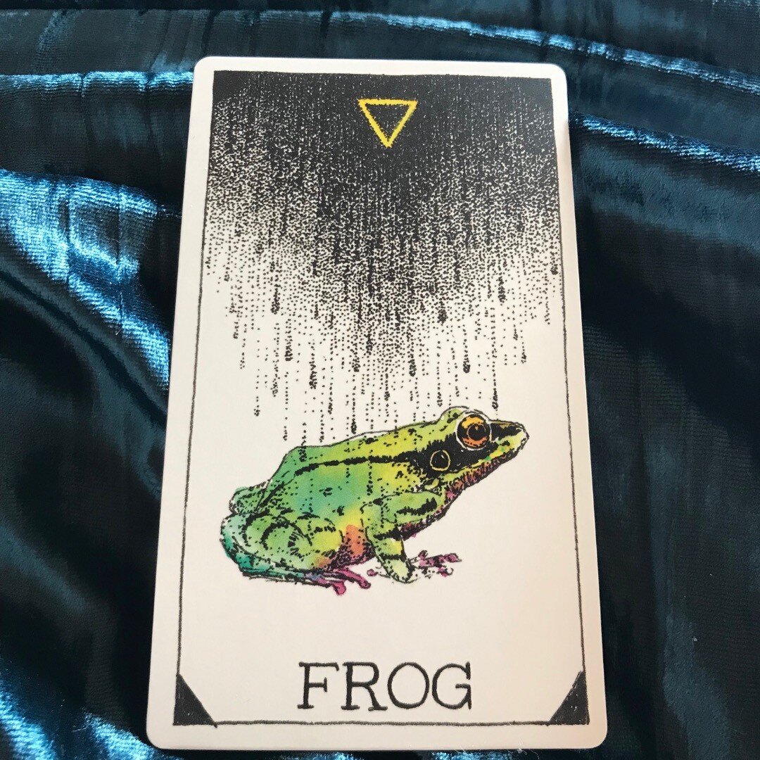 Dear friends (@bethyeap :), I felt called to pull another card for you today from The Wild Unknown Animal Spirit deck by Kim Krans&hellip;

The sweet, dear Frog has a loving message for us all. She wants to remind us to take care of ourselves, to tak