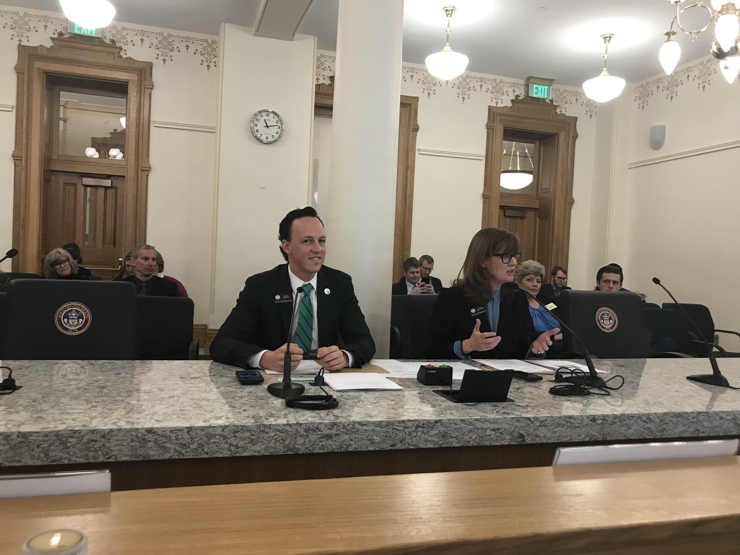 Presenting SB4 with Rep. Julie McCluskie in the House Rural Affairs Committee.