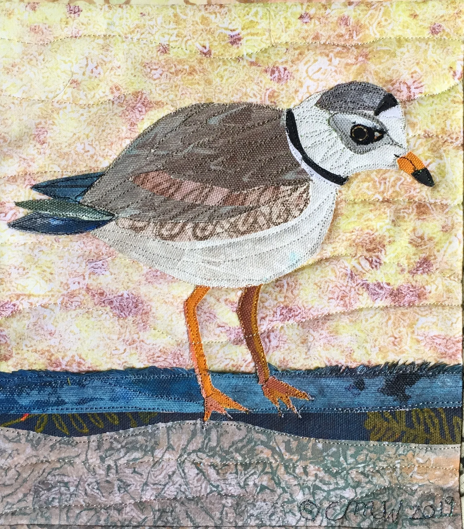 Piping Plover