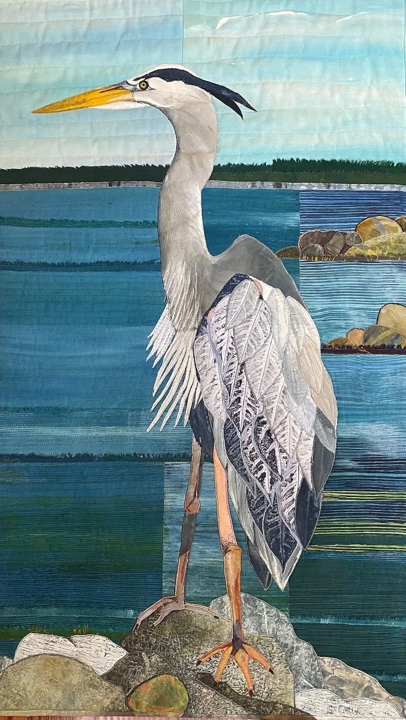 Great Blue Standing Tall.jpeg