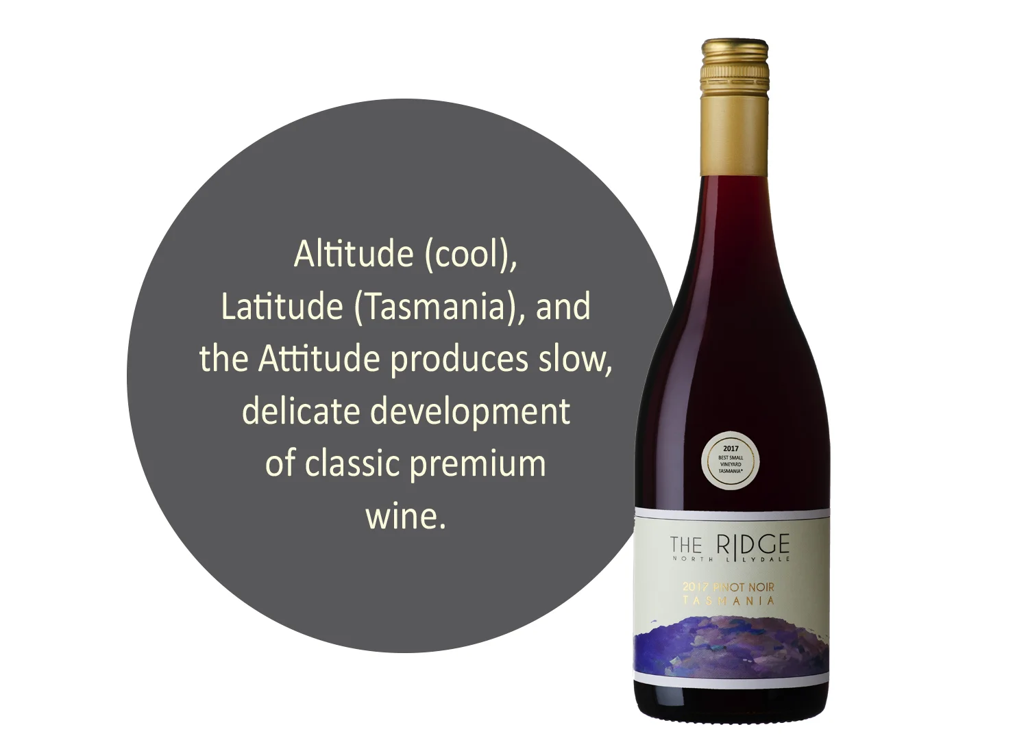 Pinot17Image.jpg