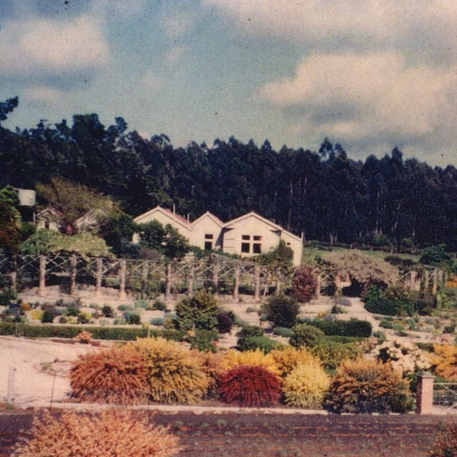 Image10.jpg
