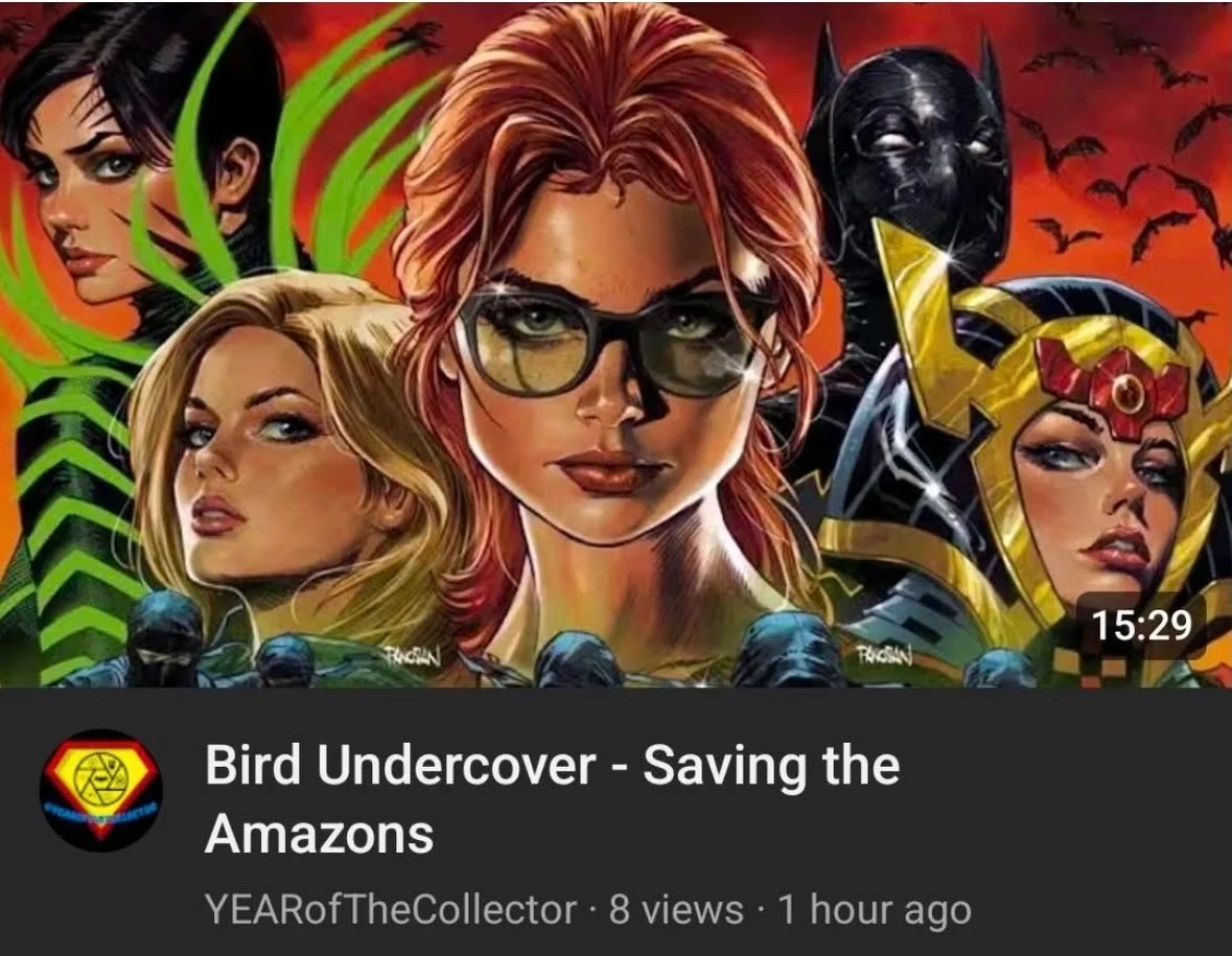 S/O to @yearofthecollector who if you haven&rsquo;t checked out his videos, you&rsquo;re missing out! Don&rsquo;t miss his breakdown of Birds Of Prey on his YouTube channel! #comics #birdsofprey #dccomics
