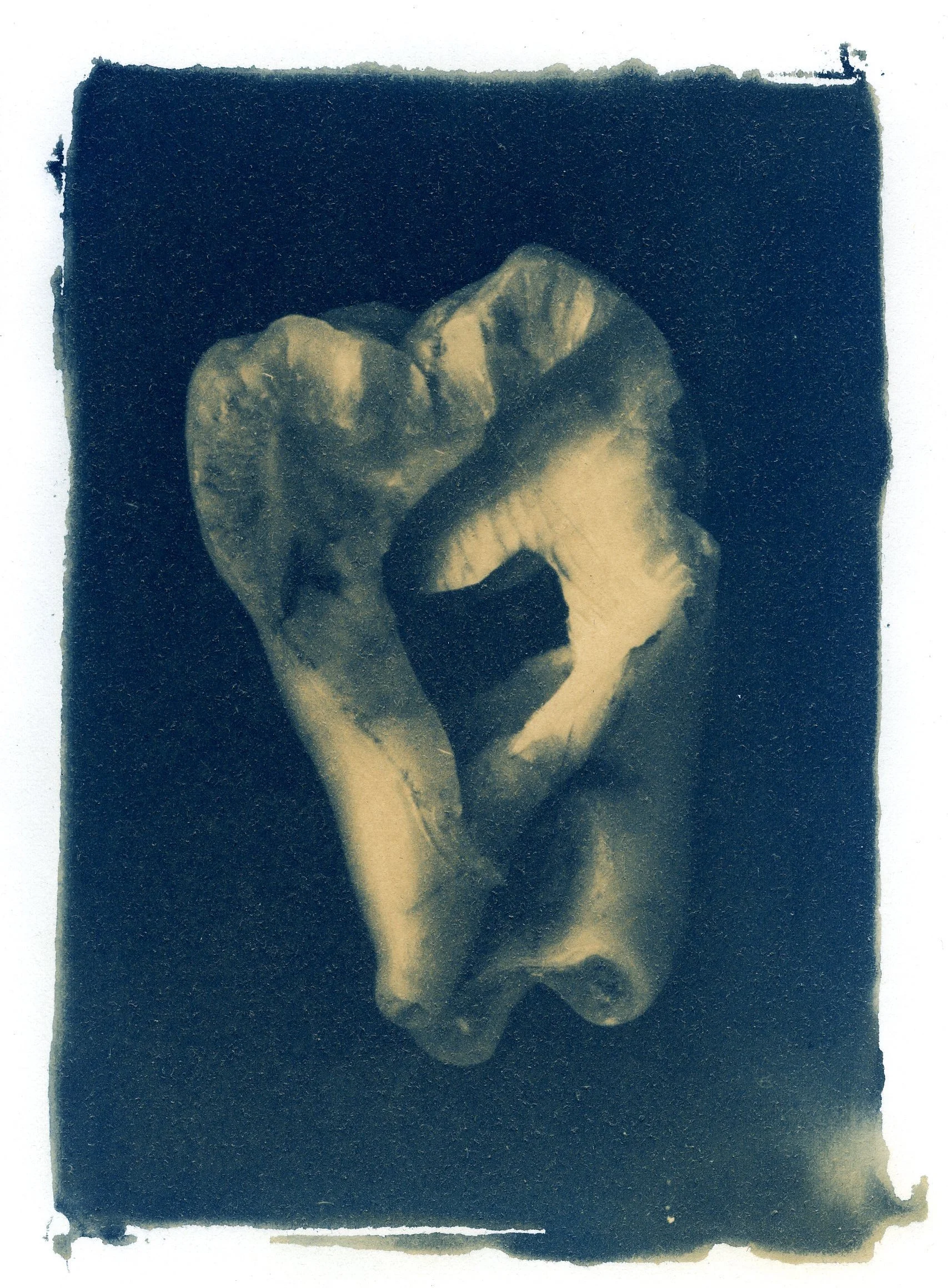 jcondon_teeth002.jpg