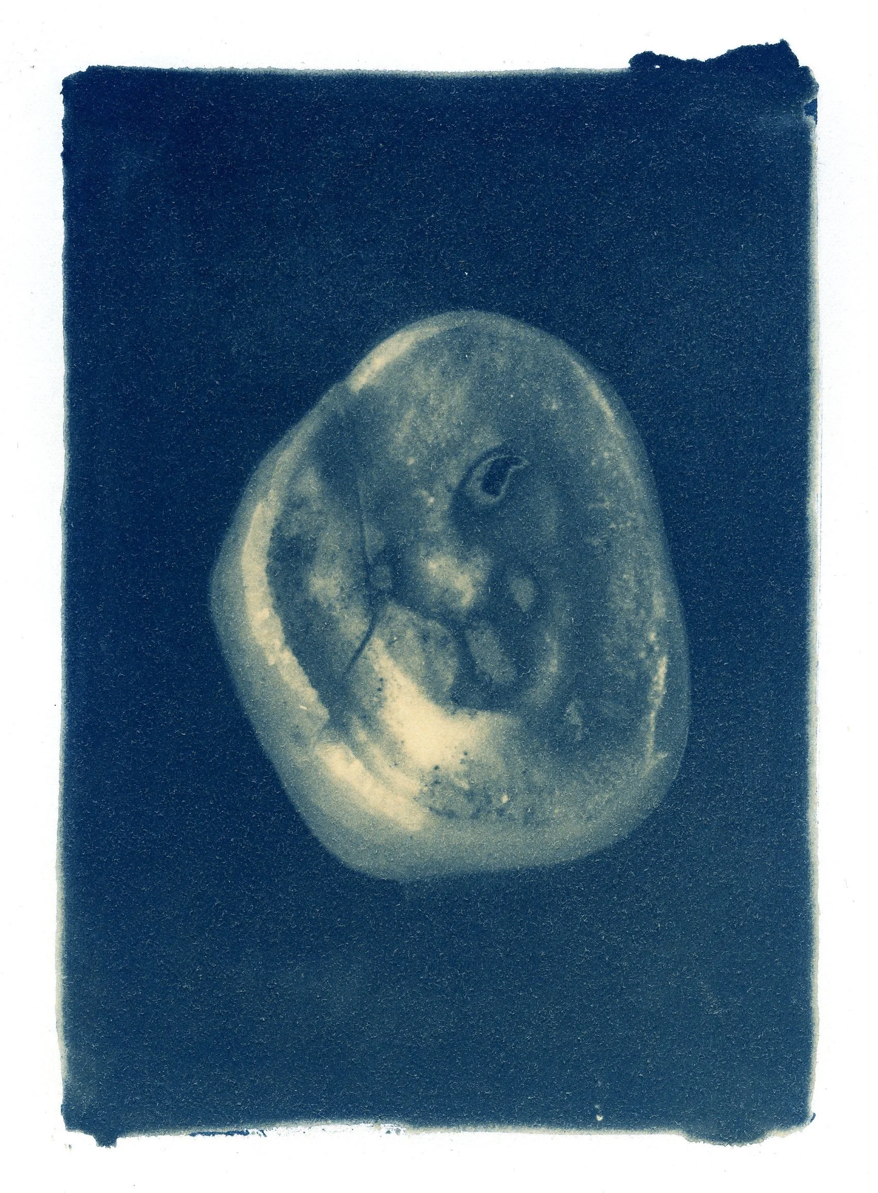jcondon_teeth005.jpg