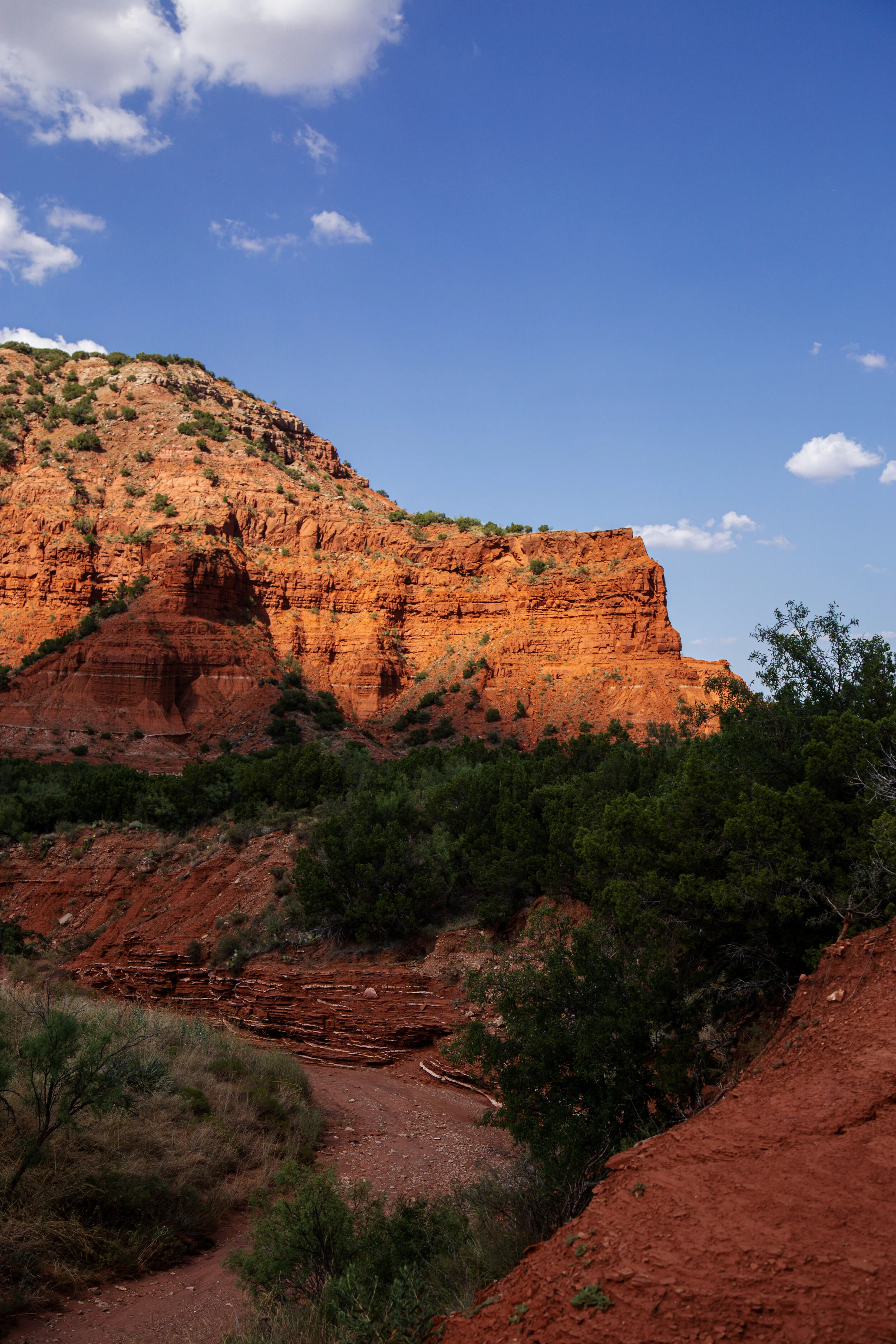 _MG_9958.jpg