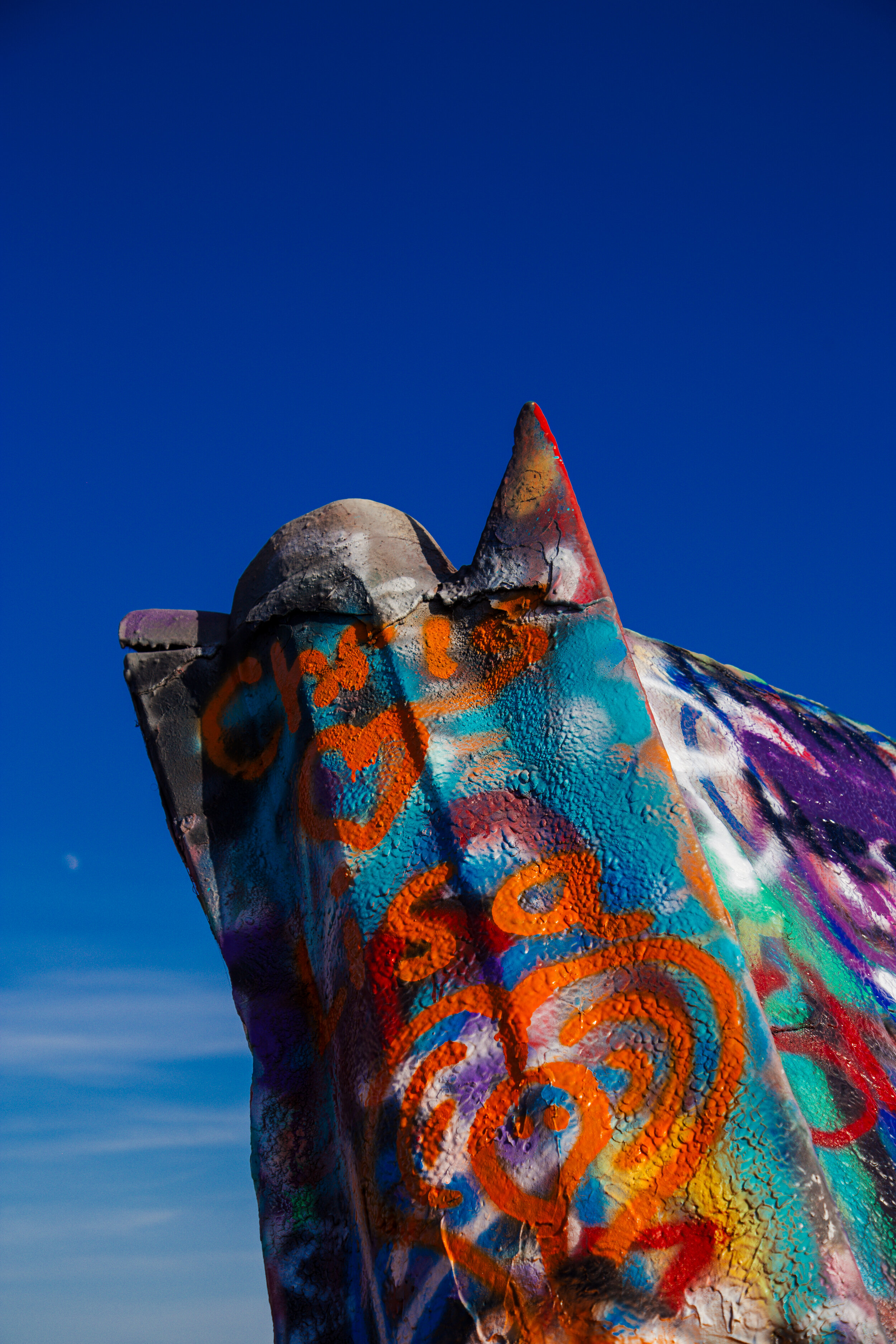 _MG_0146.jpg