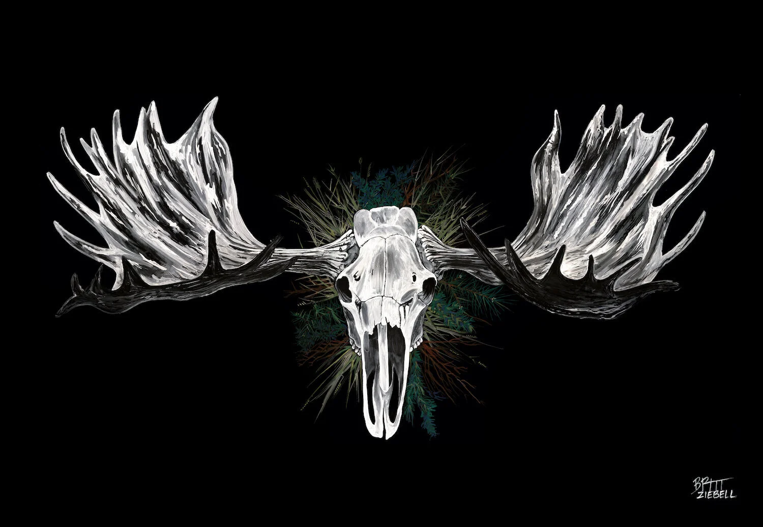 RTP_Moose_Skull+Website.jpg