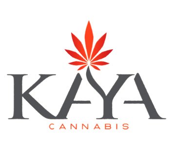 kaya-now-appoints-jamie-solis-as-editor-in-chief-of-high-there-1024x576.jpg