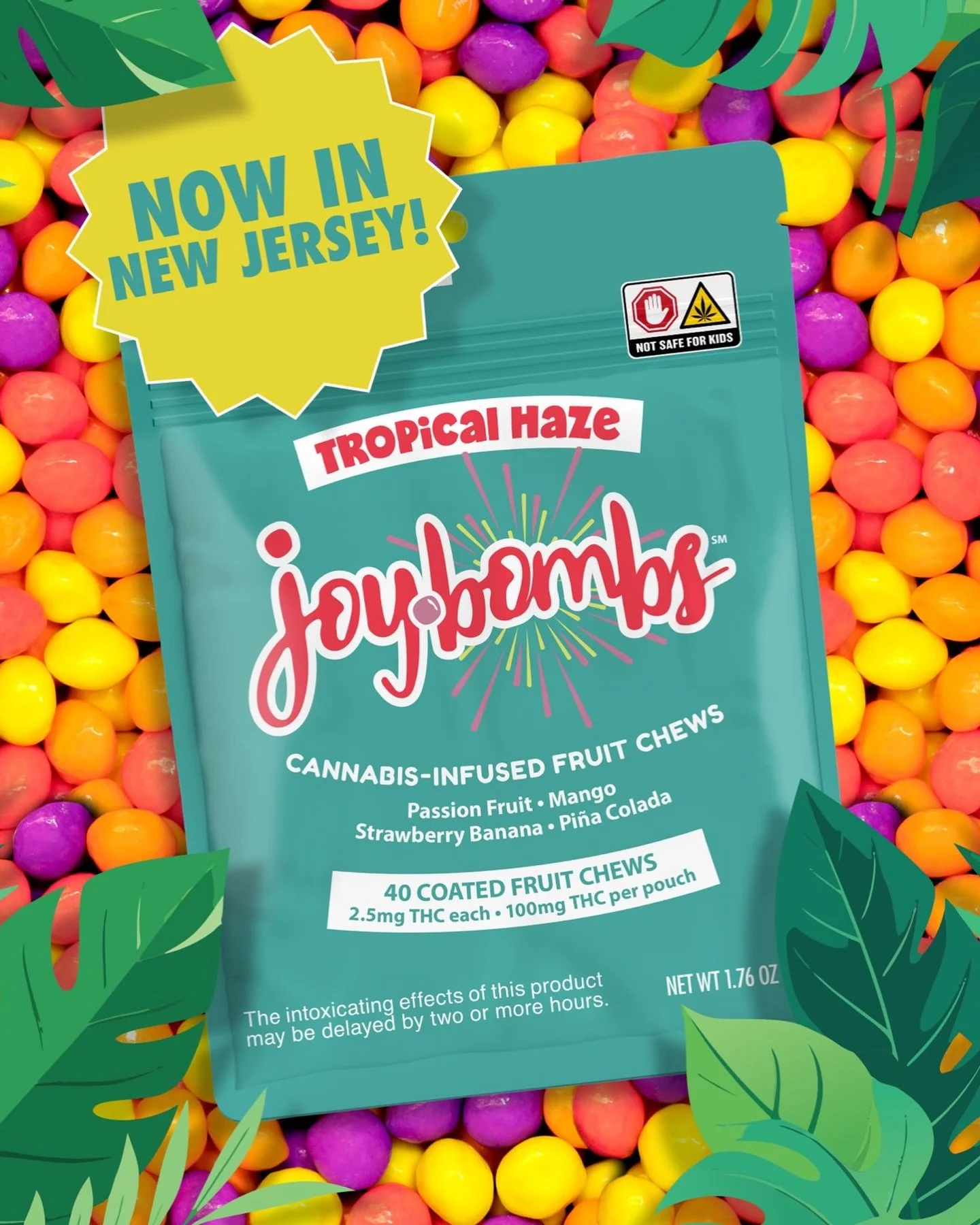 Winter in New Jersey? Bring on the tropics.
Tropical Haze has officially joined Original Fruit and Sour Fruit on shelves statewide.
Bright flavor for chilly days. 🌴
For adults 21+.

#tropicahaze #sharejoybombs #joyibles #tropical #edibles @stashhous