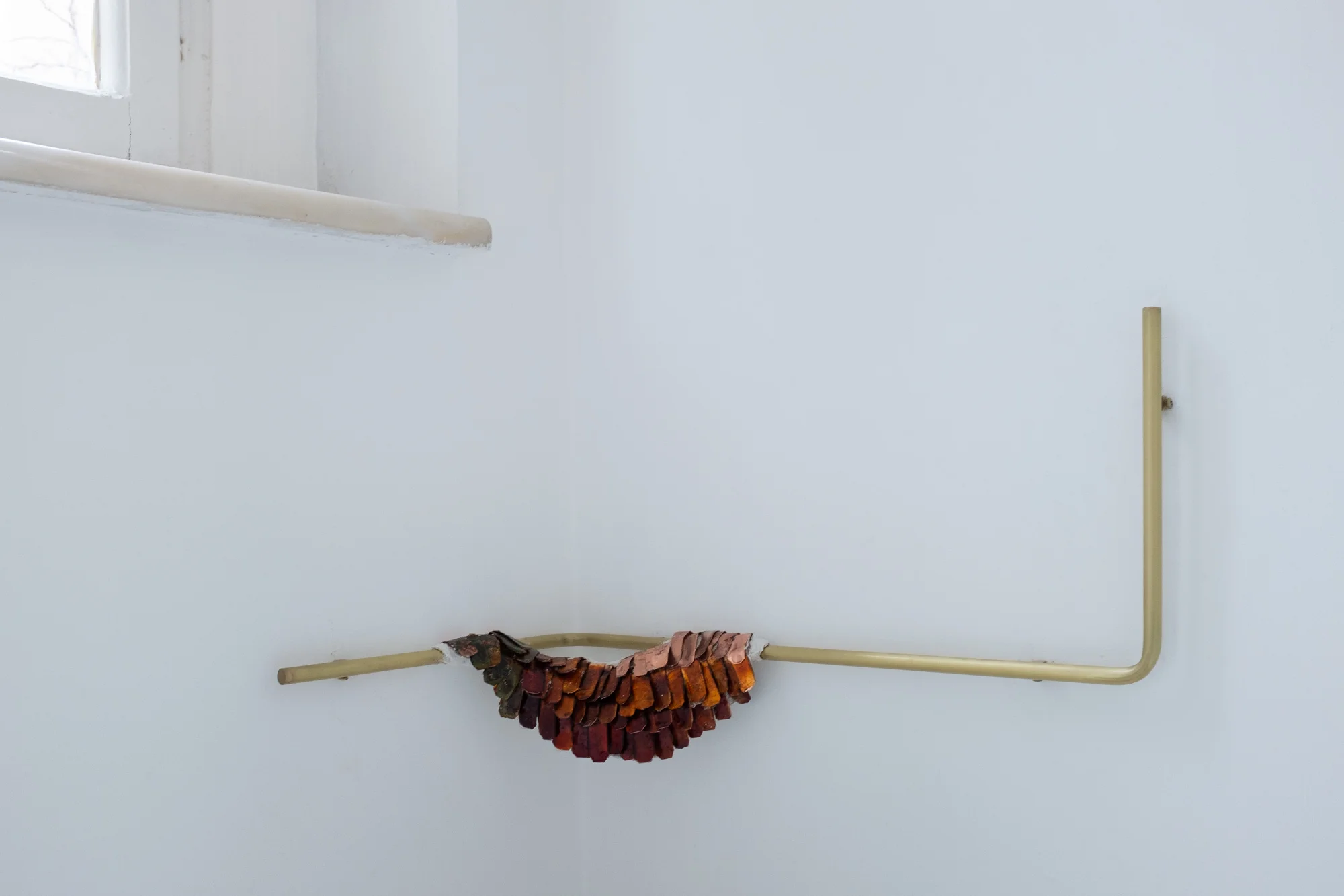 DSCF9819.jpg