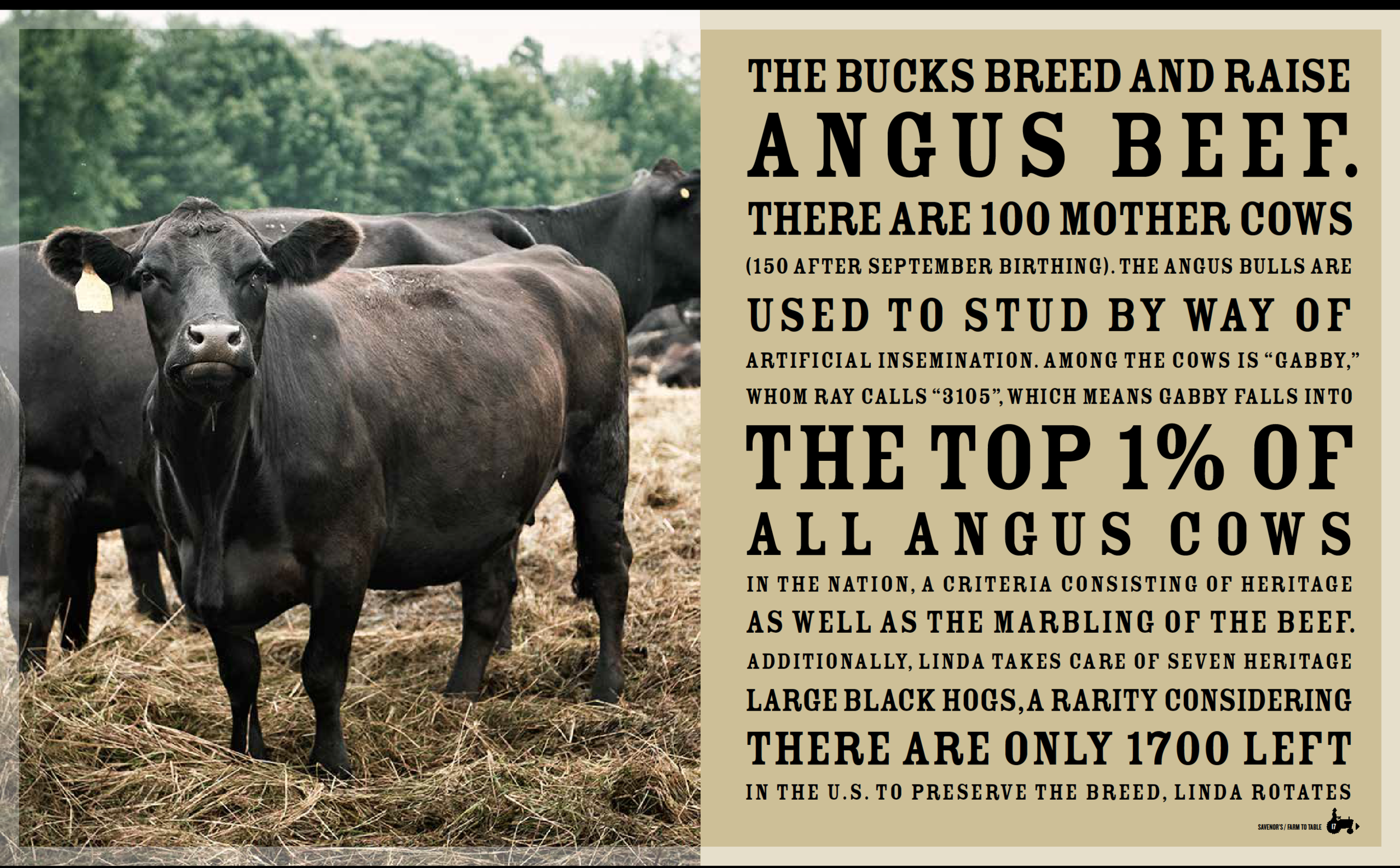 Screen Shot 2017-05-21 at 9.02.26 PM.png