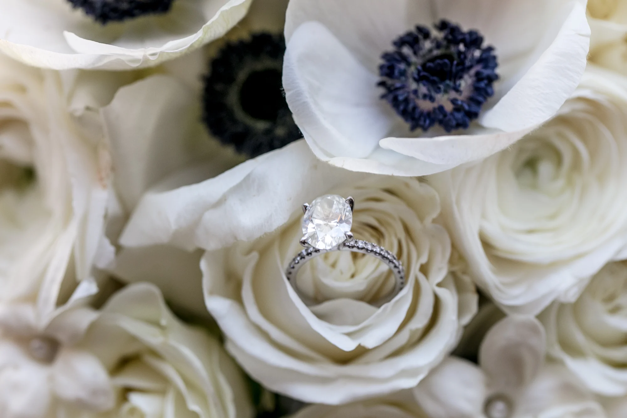 terri-diamond-photography-wedding_0402.jpg