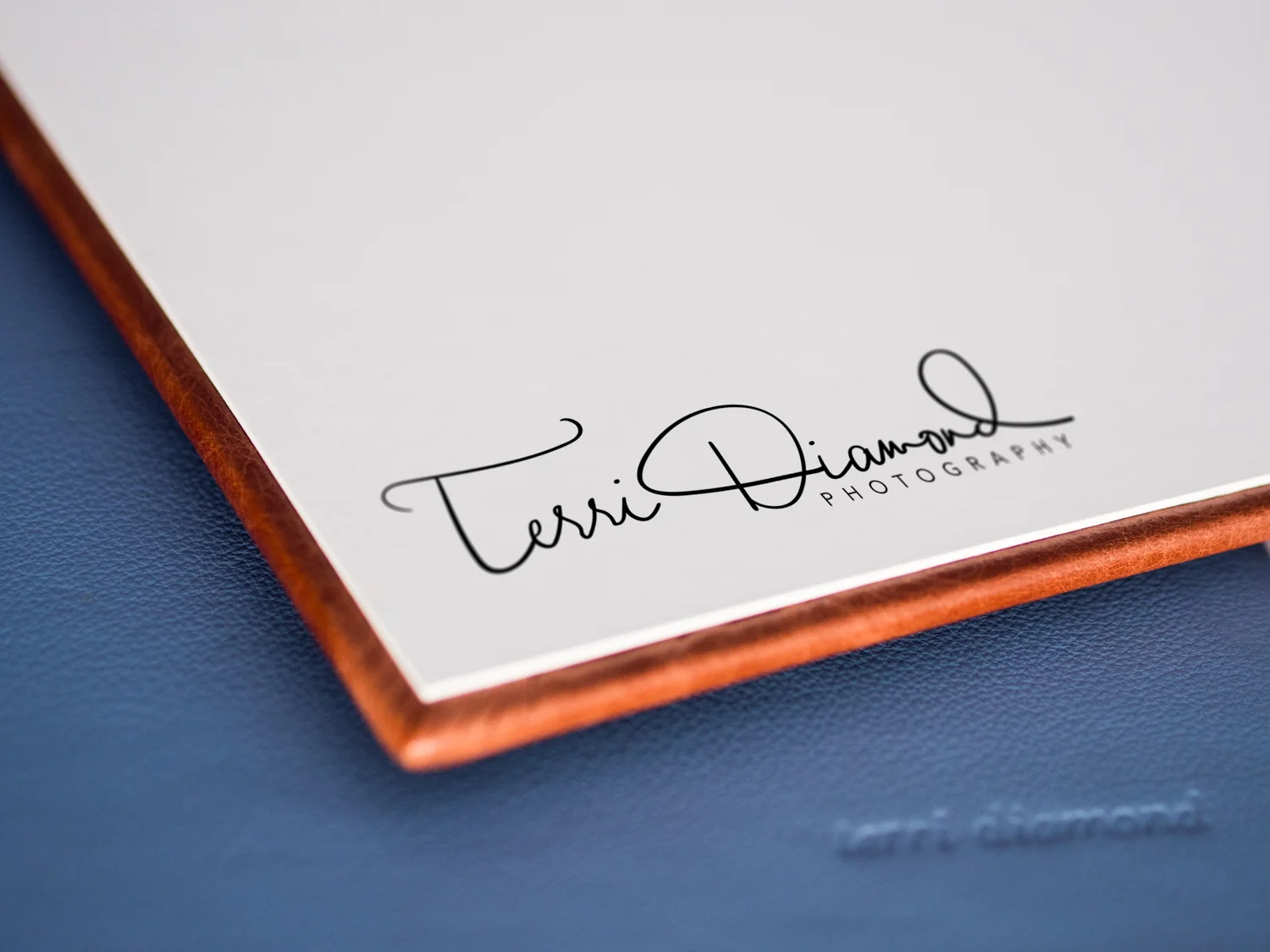 wedding-albums-newyorkcity-terri-diamond-photography-10.jpg